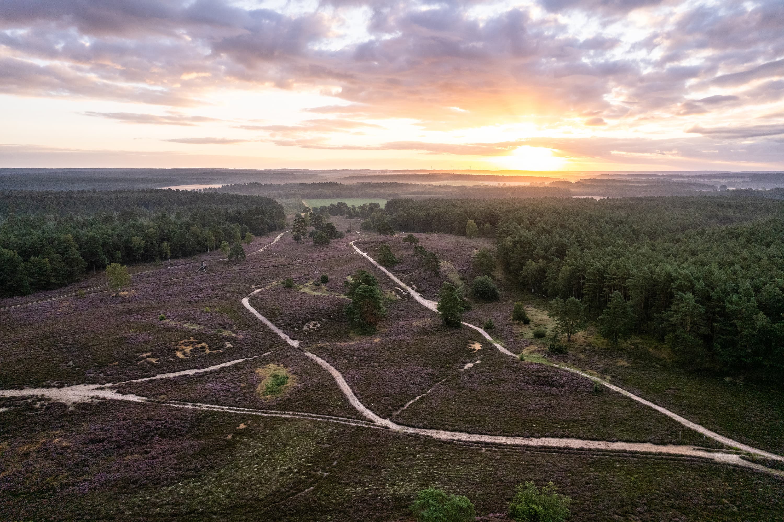 Luftaufnahme der Schwindebecker Heide