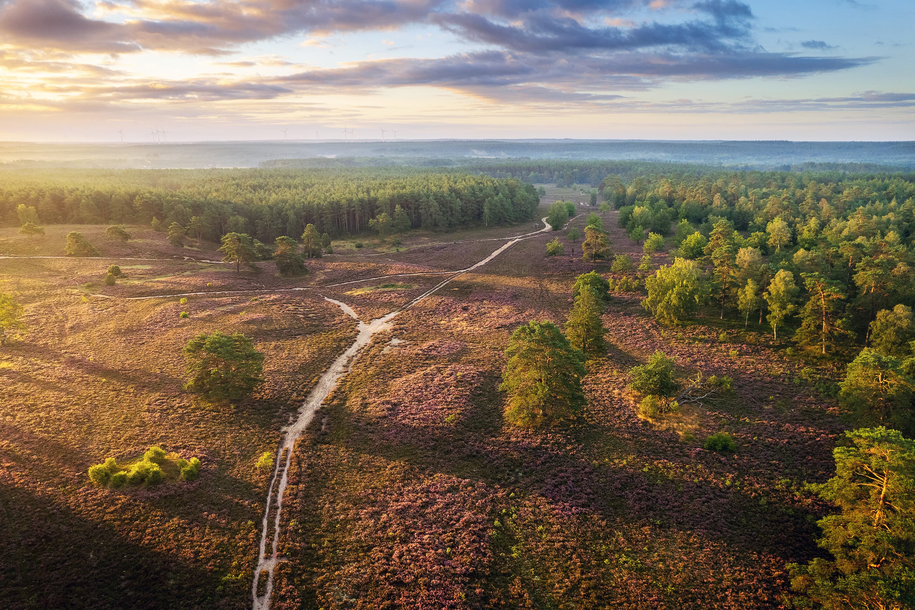 Luftaufnahme von der Schwindebecker Heide