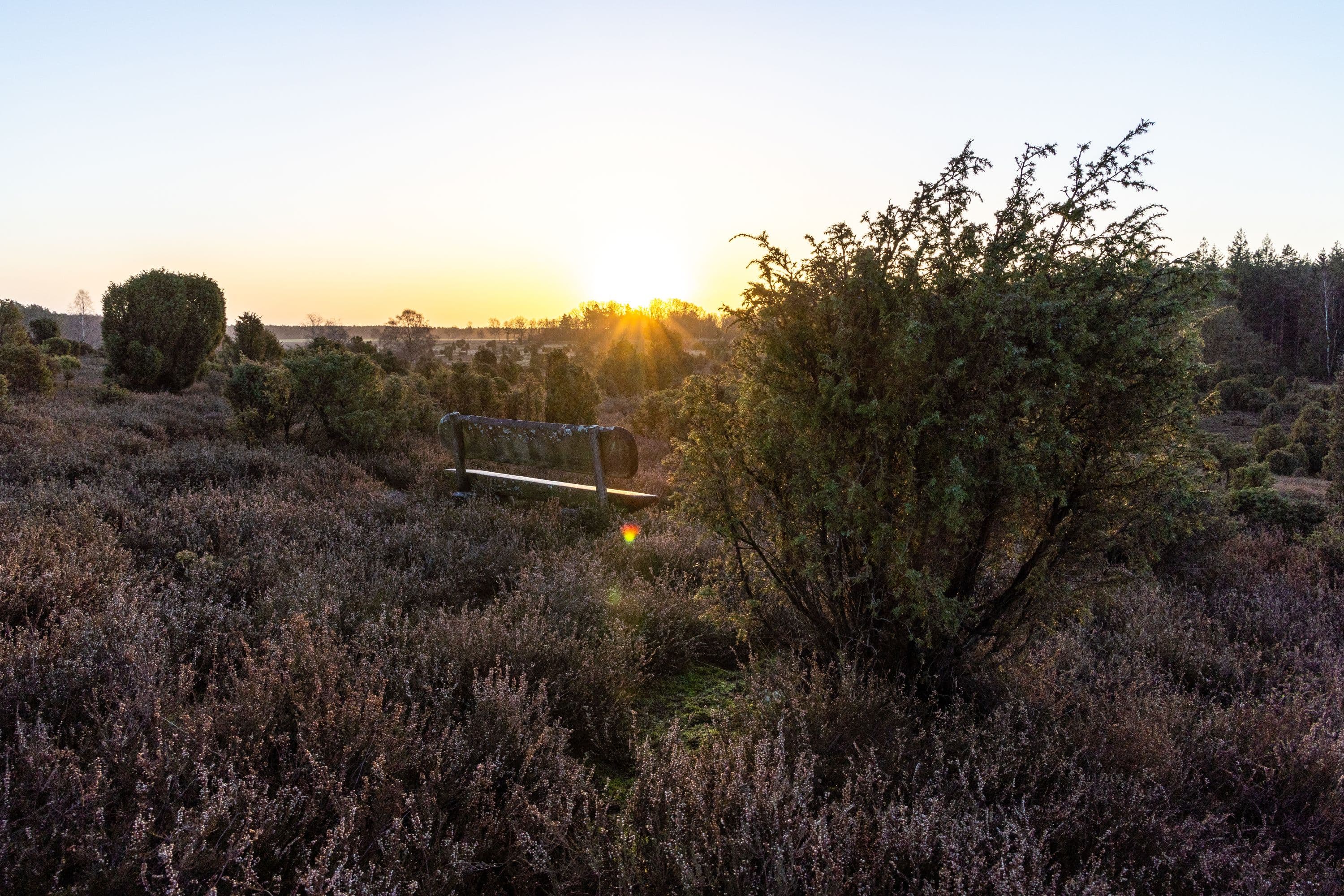 Sonnenaufgang über der Ellerndorfer Wacholderheide im Winter