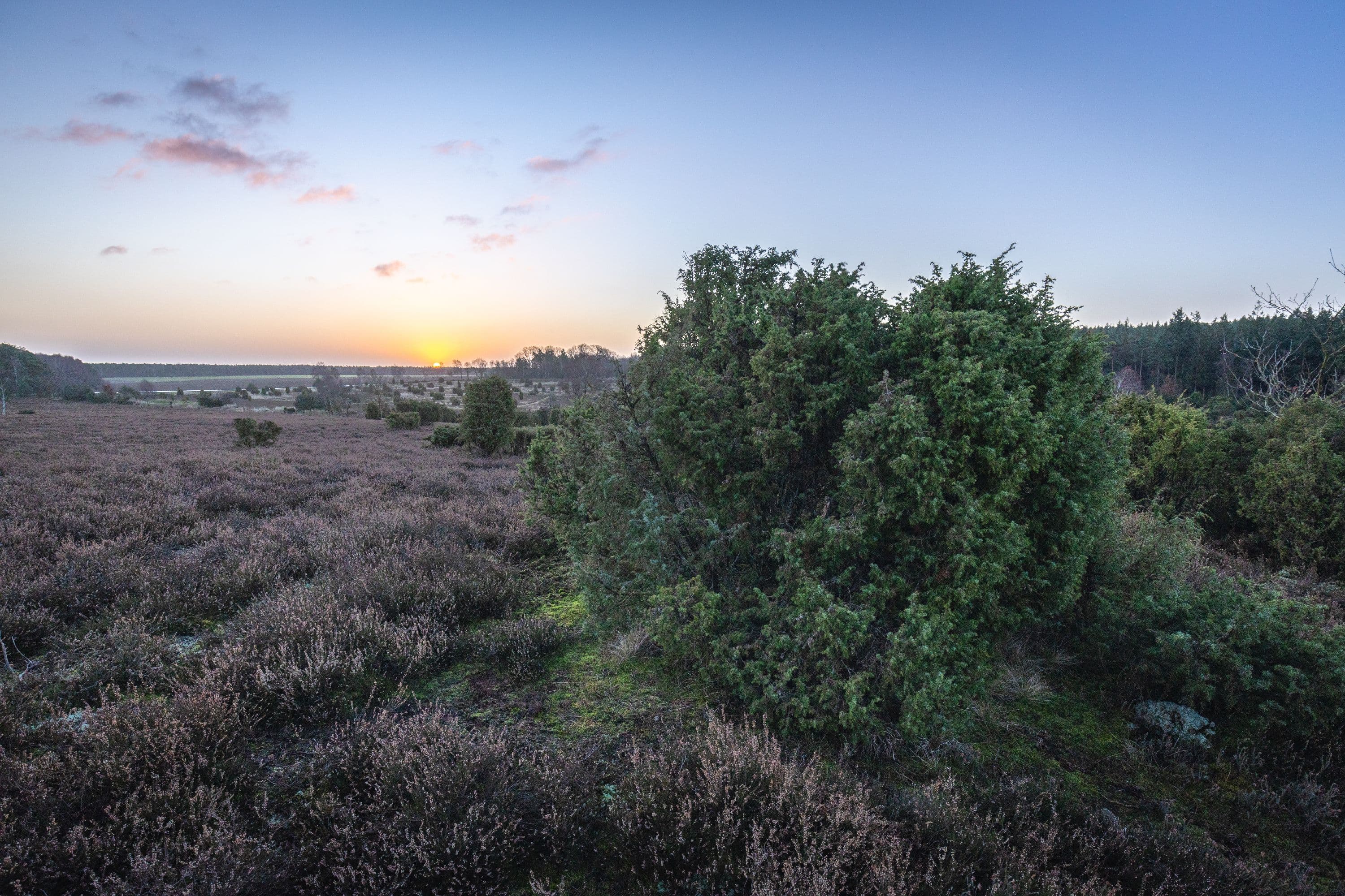 Die Ellerndorfer Wacholderheide im Winter