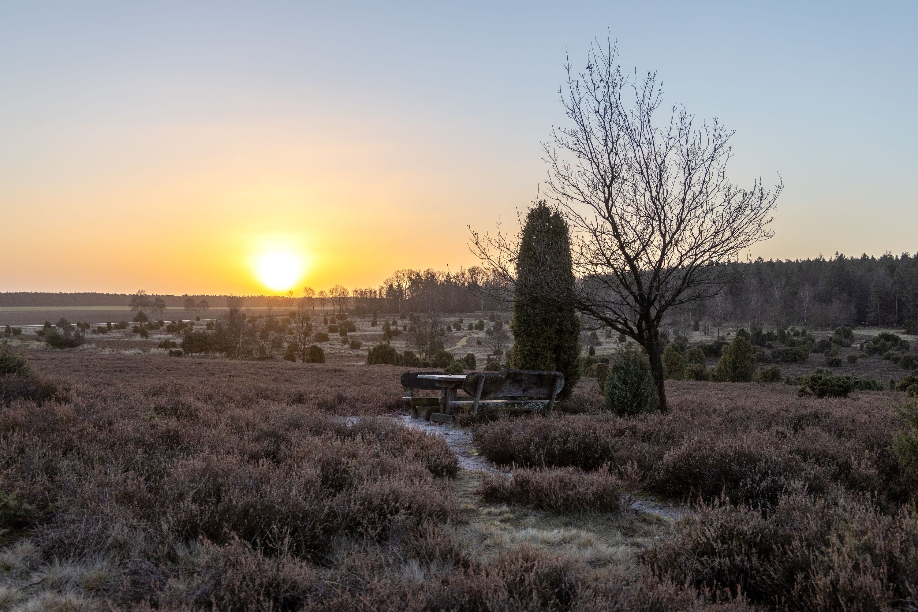 Die Ellerndorfer Wacholderheide im Winter