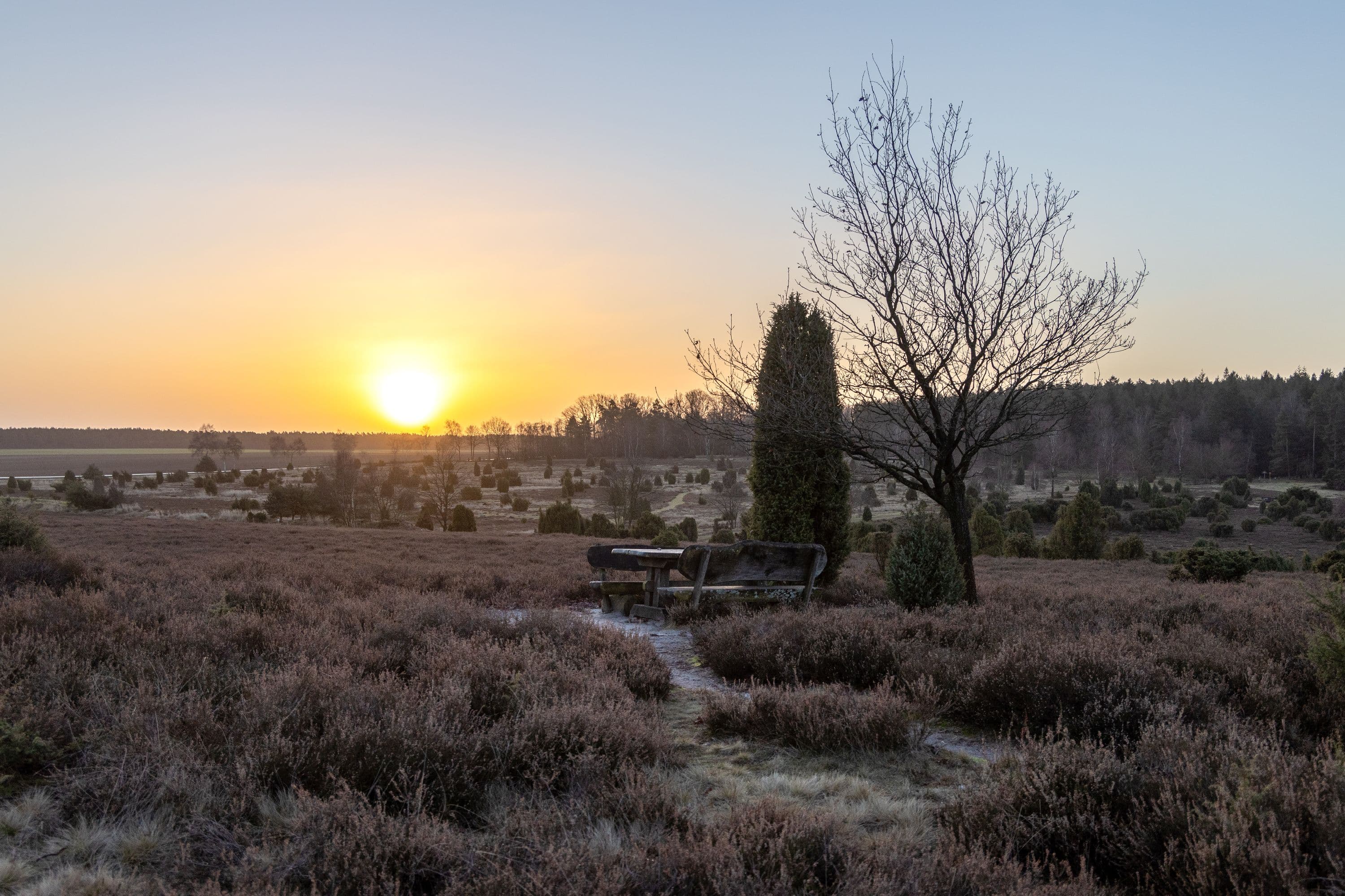 Sonneaufgang über der Ellerndorfer Wacholderheide