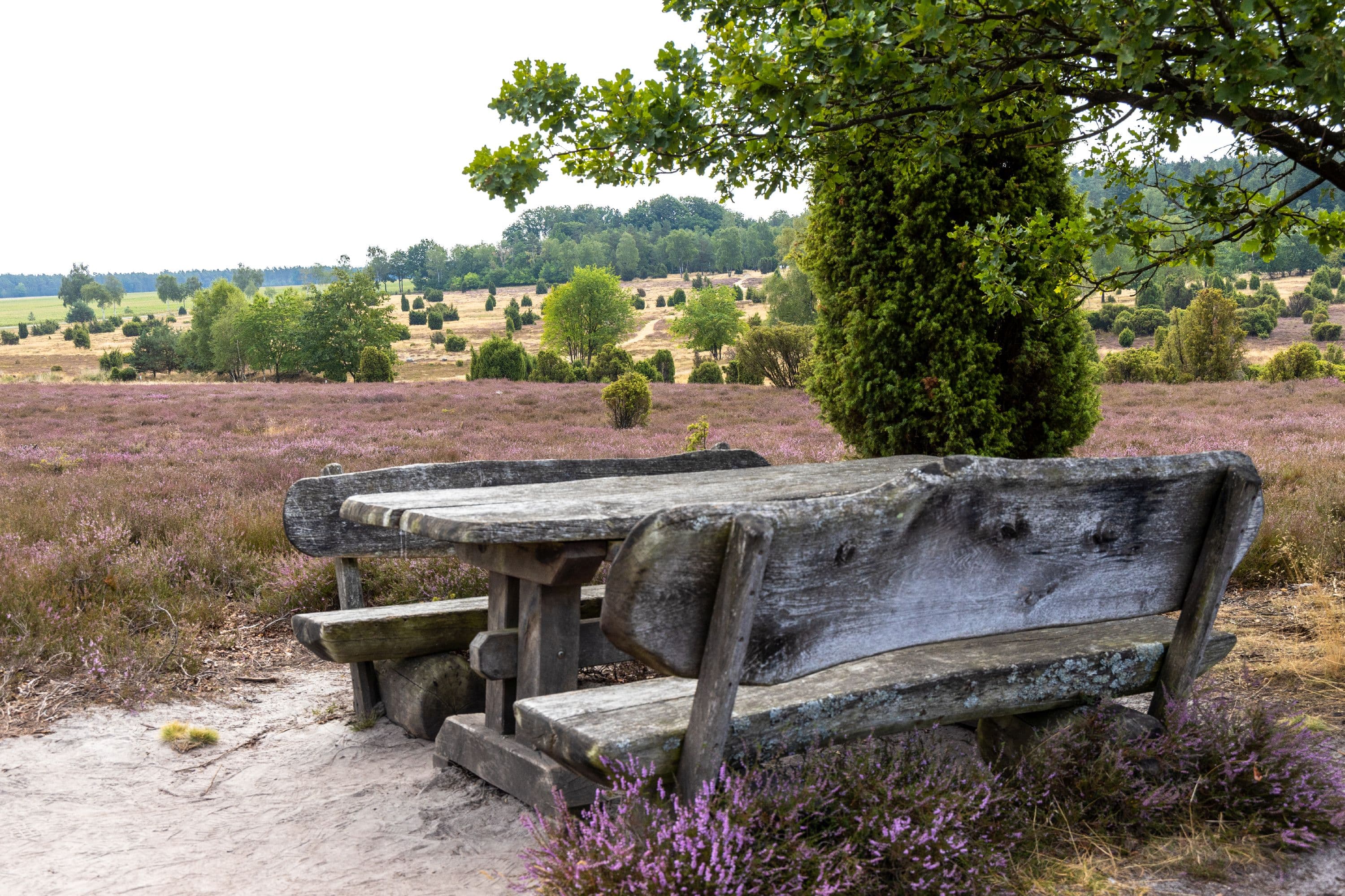 Idyllischer Rastplatz in der Ellerndorfer Wacholderheide