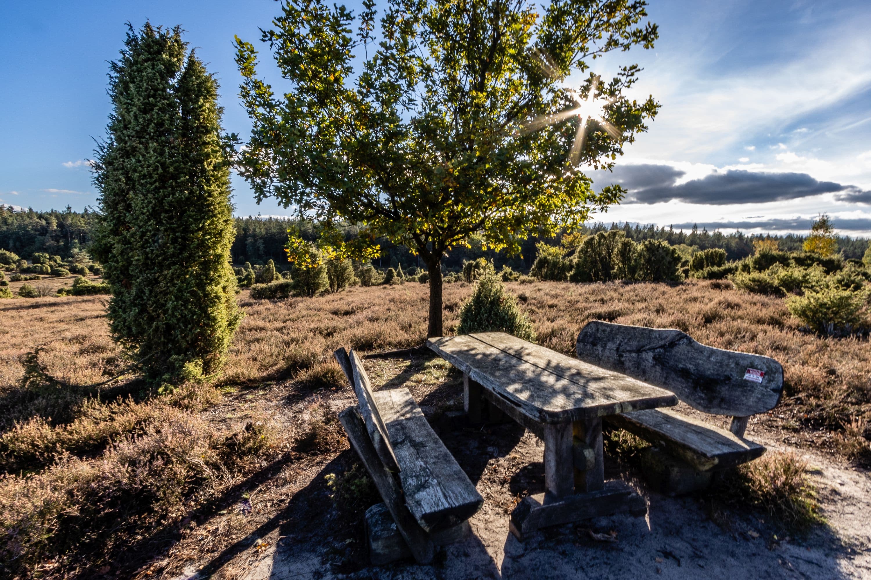 Idyllischer Rastplatz in der blühenden Heidefläche