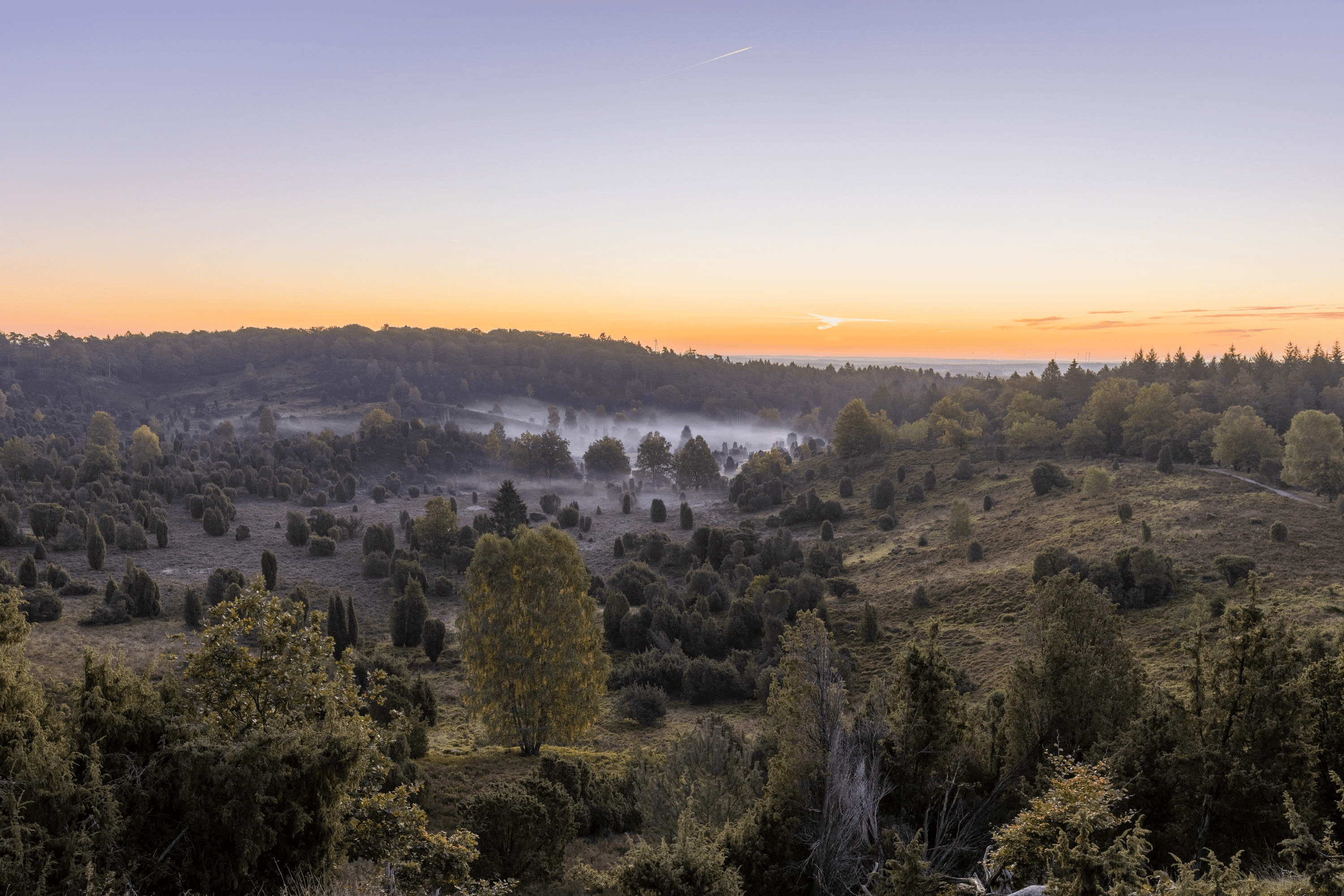 Blick in den Totengrund im Herbst bei Nebel