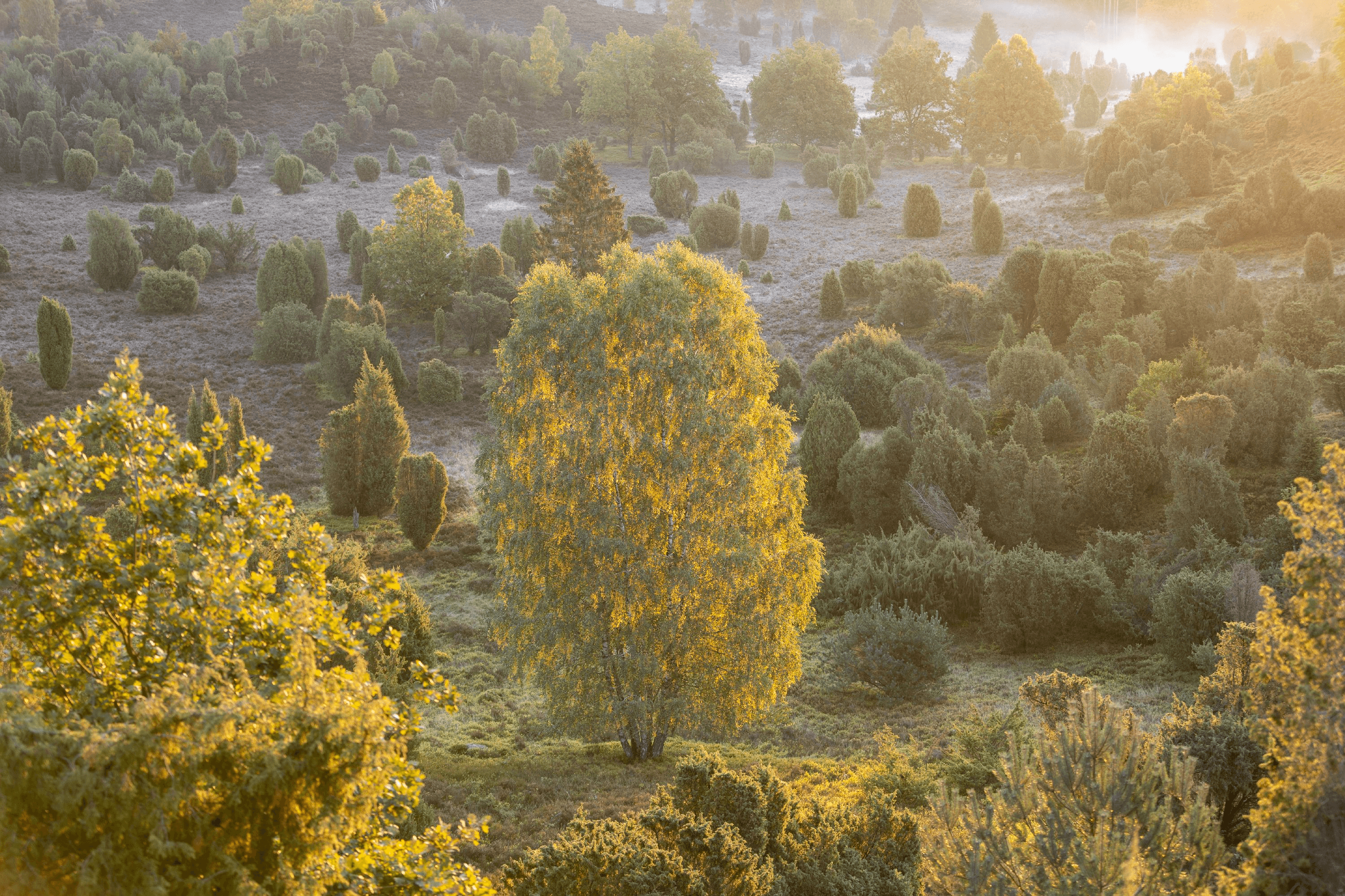 Herbstbeginn im Totengrund