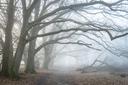 Wanderung zum Totengrund im mystischen Herbstnebel