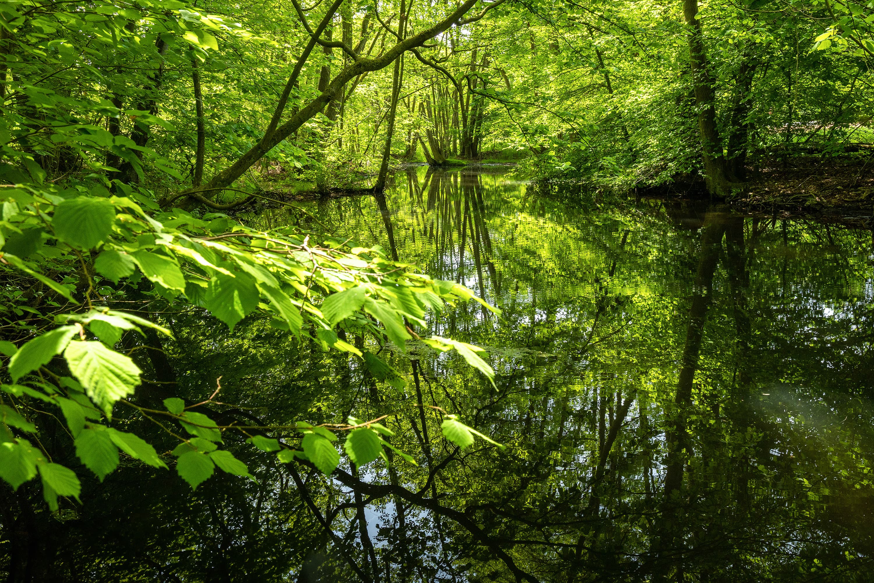 Die Lopau in Amelinghausen