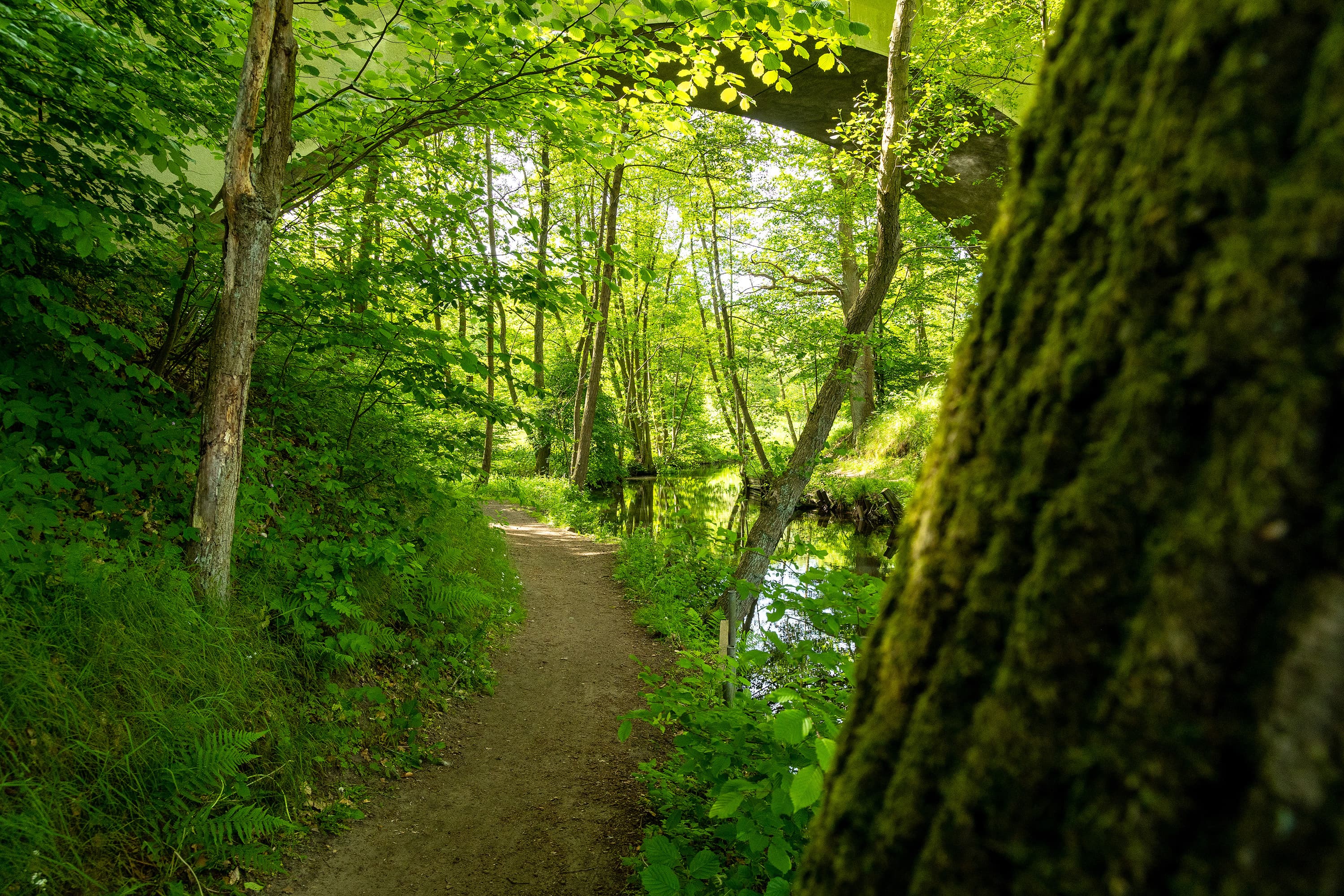 Wandern entlang der Lopau