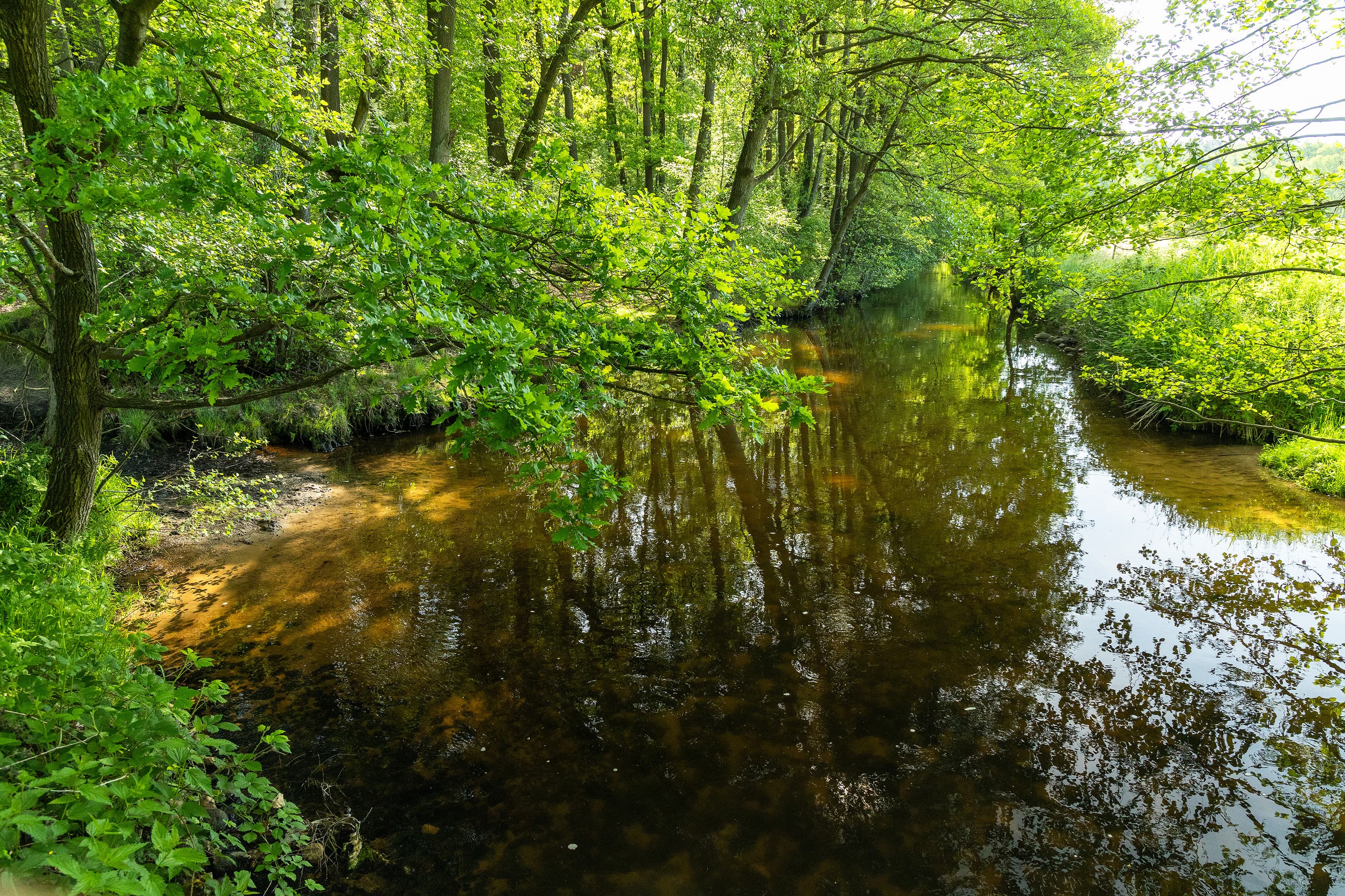 An der Luhe in Amelinghausen