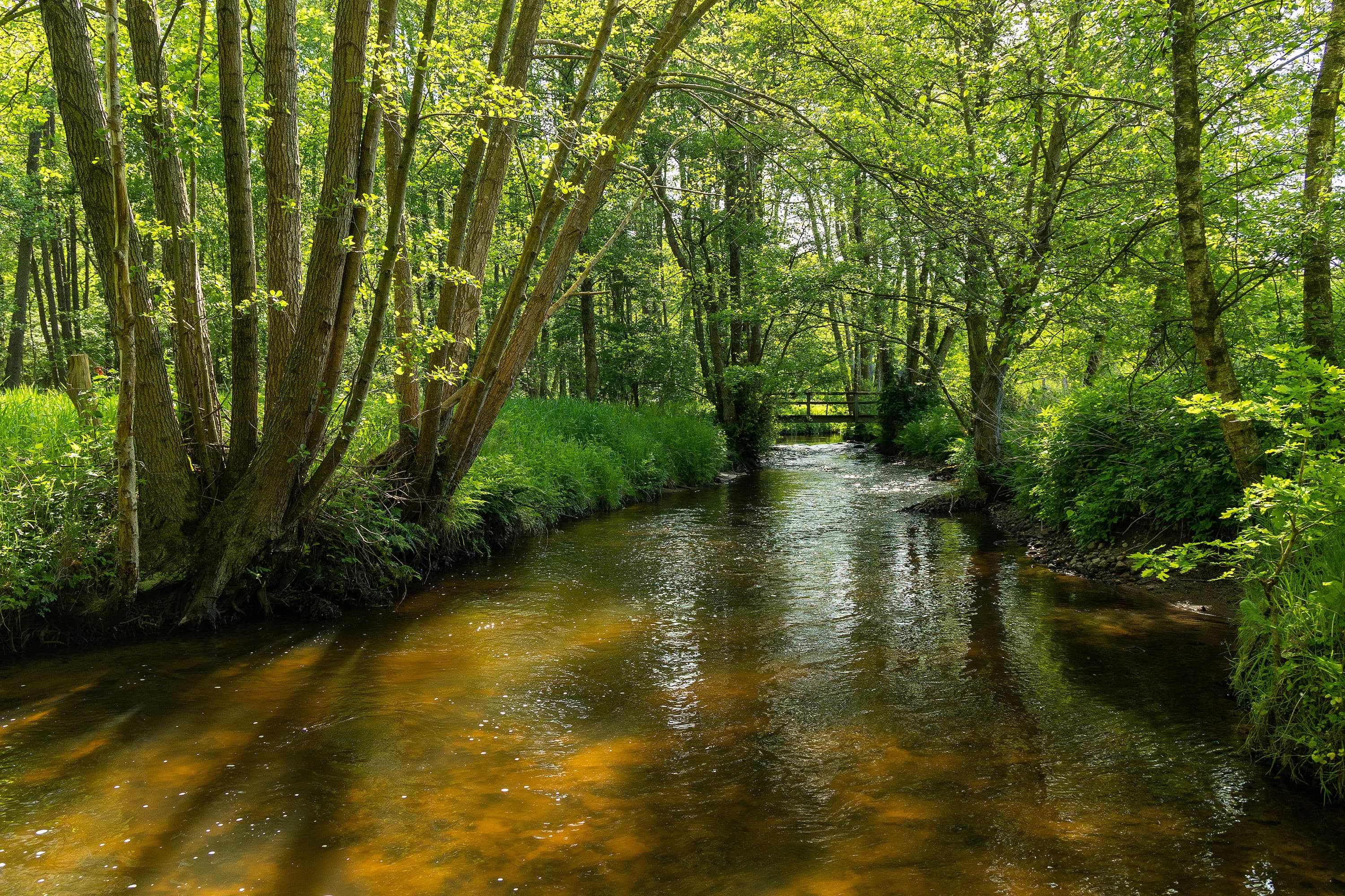 An der Luhe in Amelinghausen