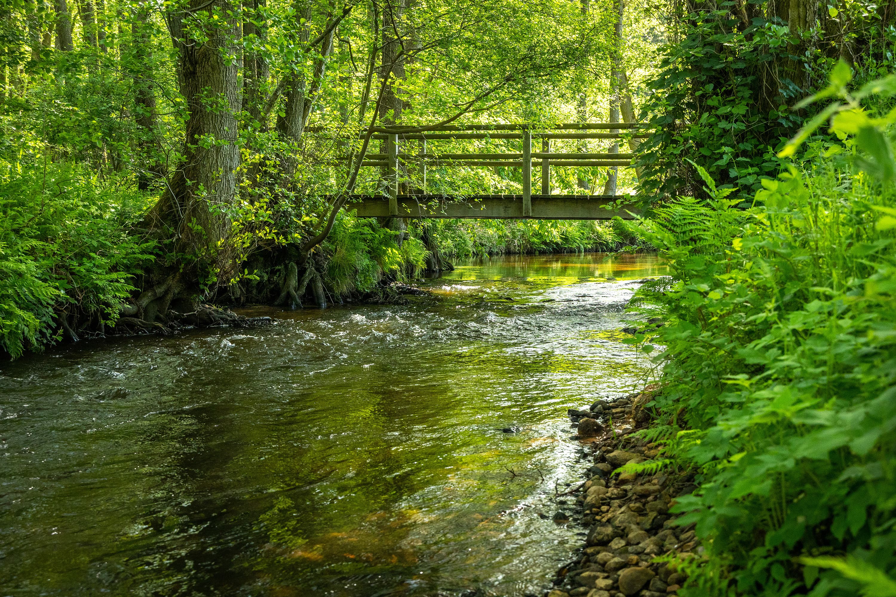 Amelinghausen Luhe Koeniginnen-Weg Brücke
