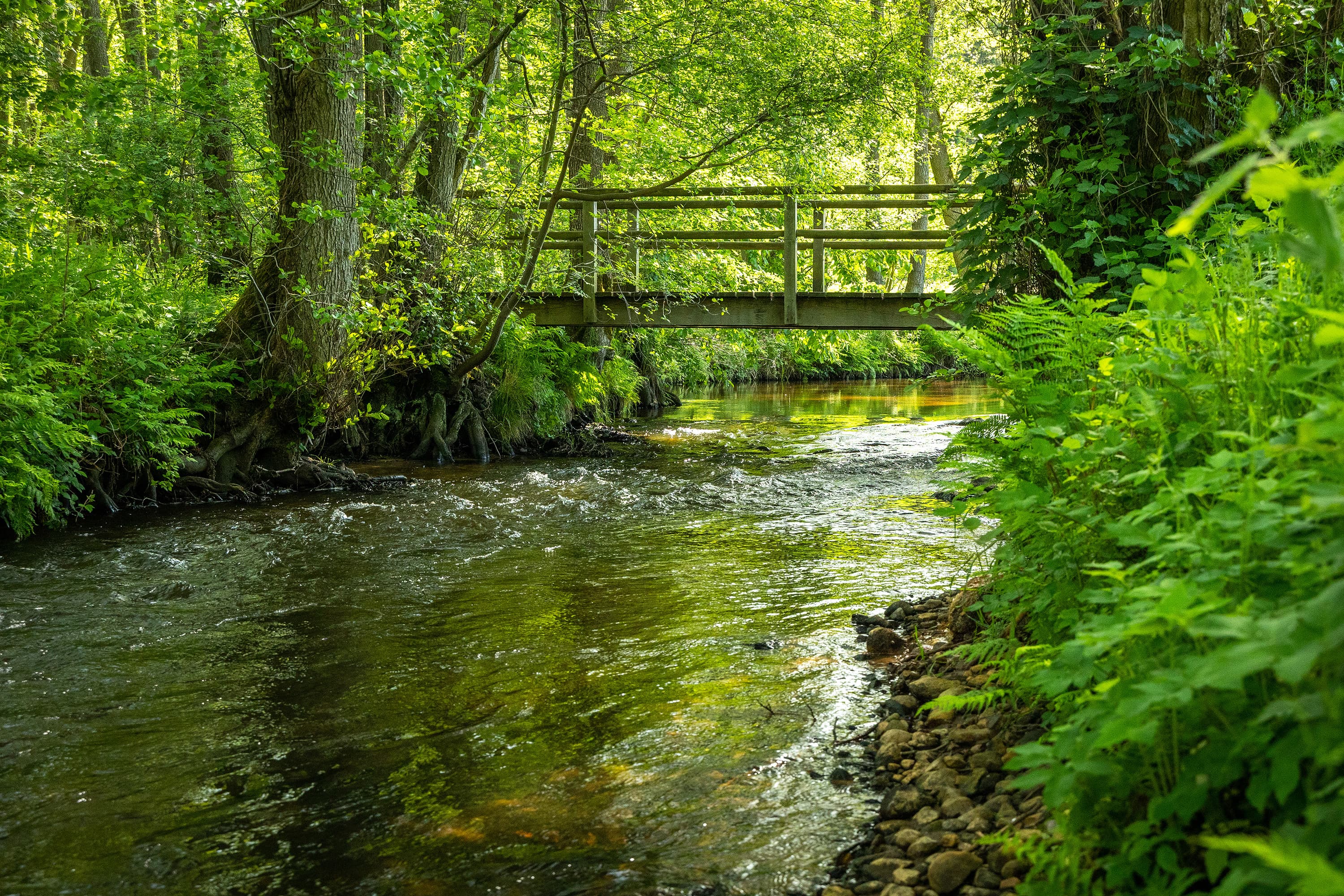 Brücke über die Luhe