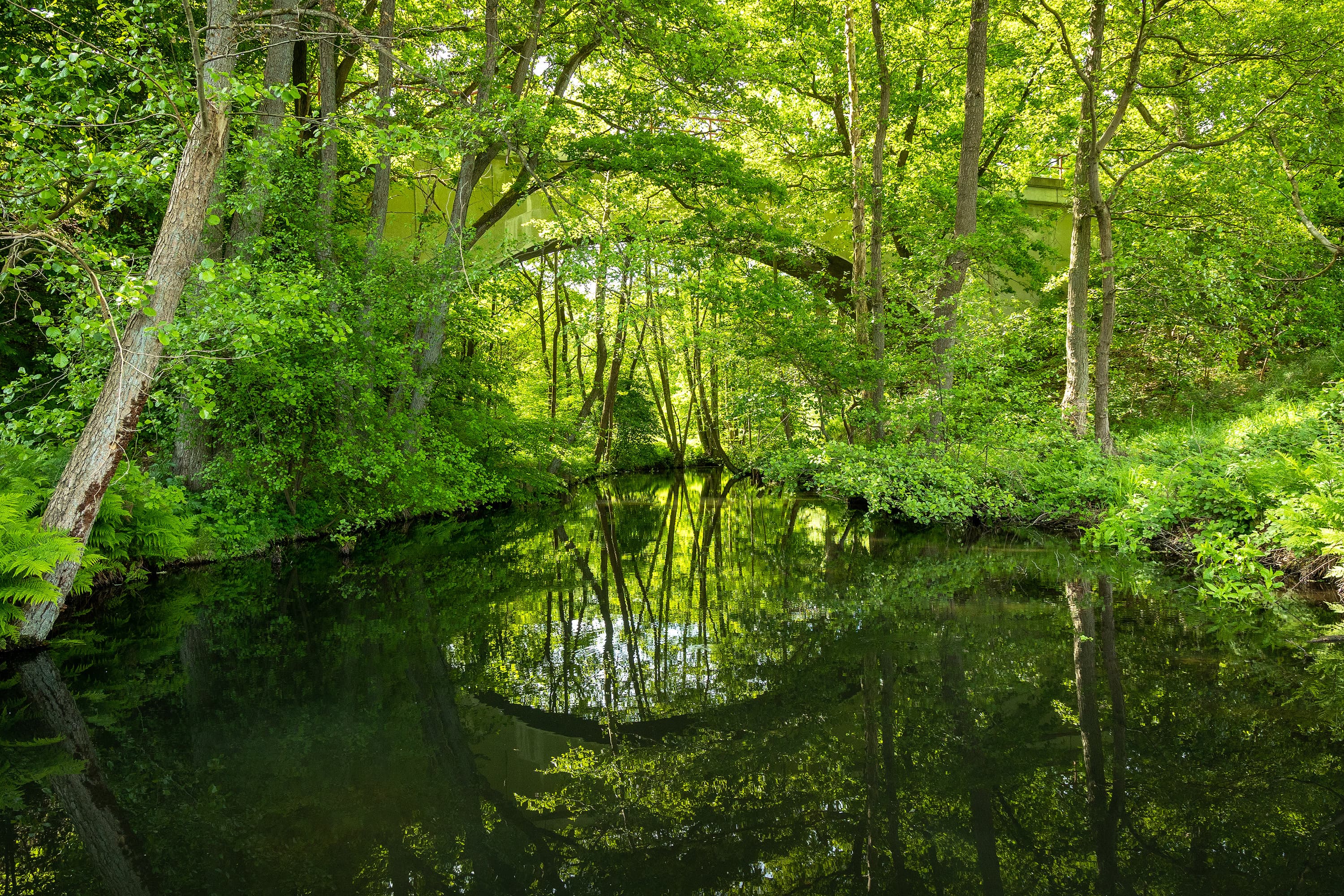 Die Lopau bei Amelinghausen