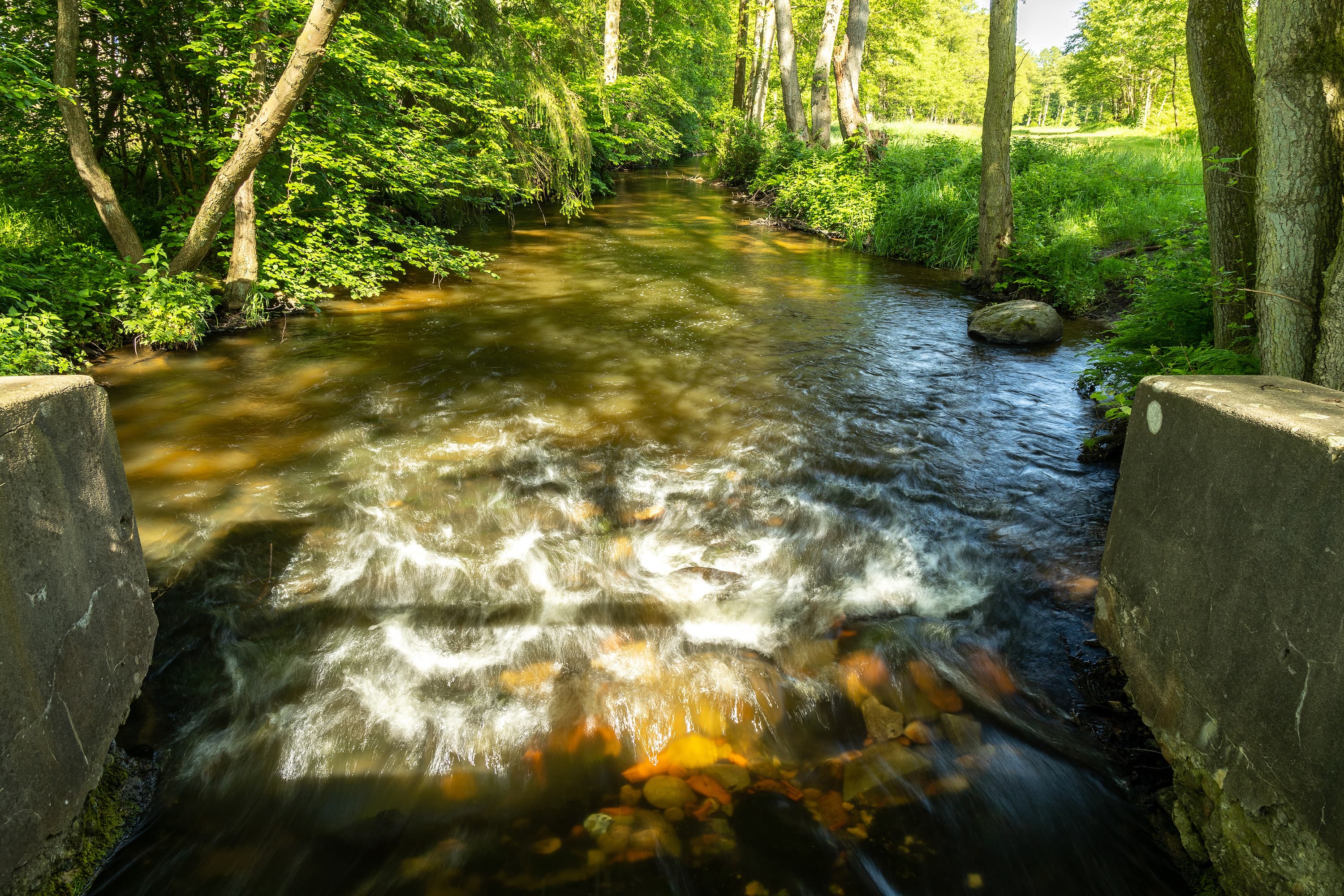 An der Luhe bei Amelinghausen