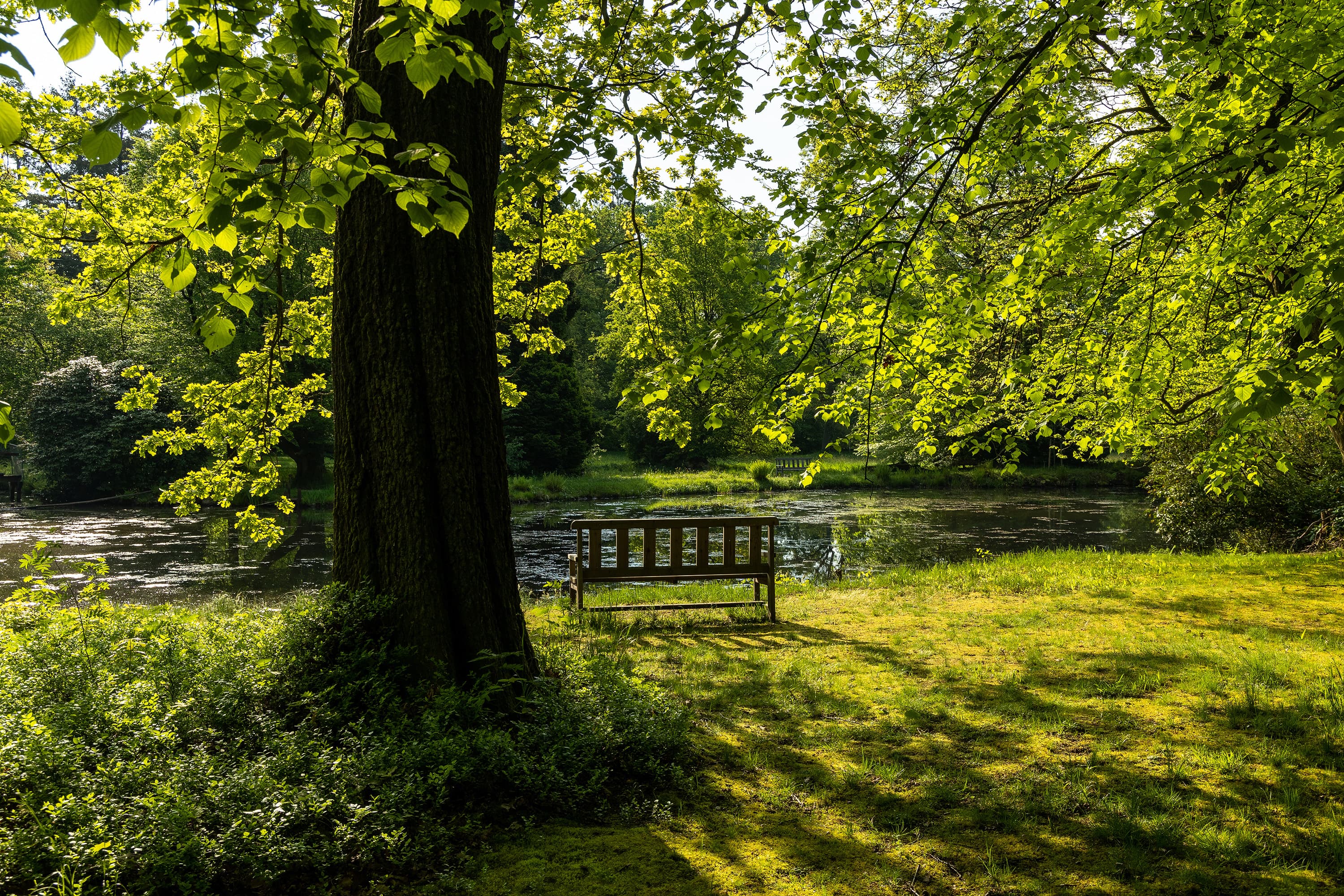 Eine Bank in Breidings Garten im Frühling
