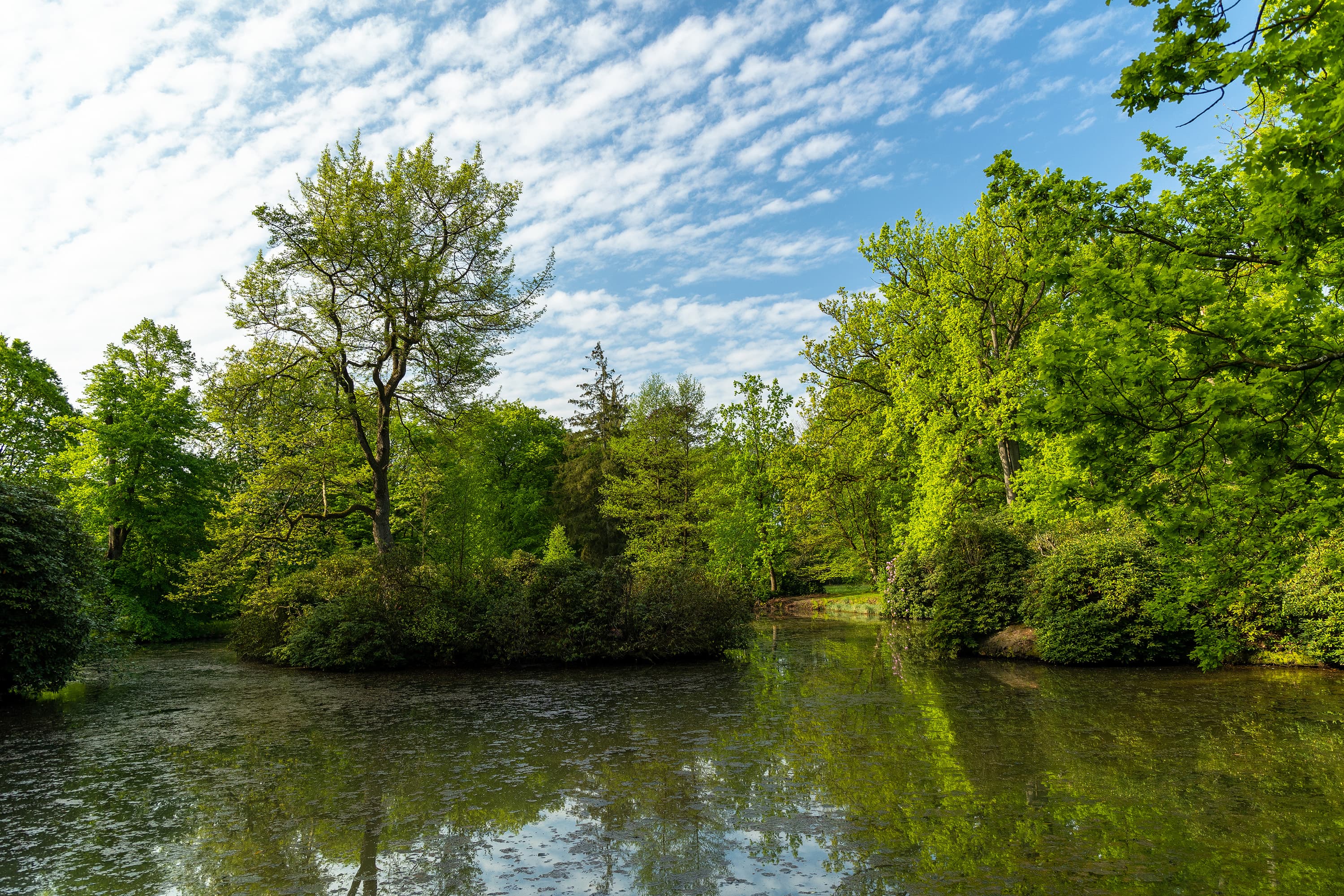 Der Teich in Breidings Garten im Frühling