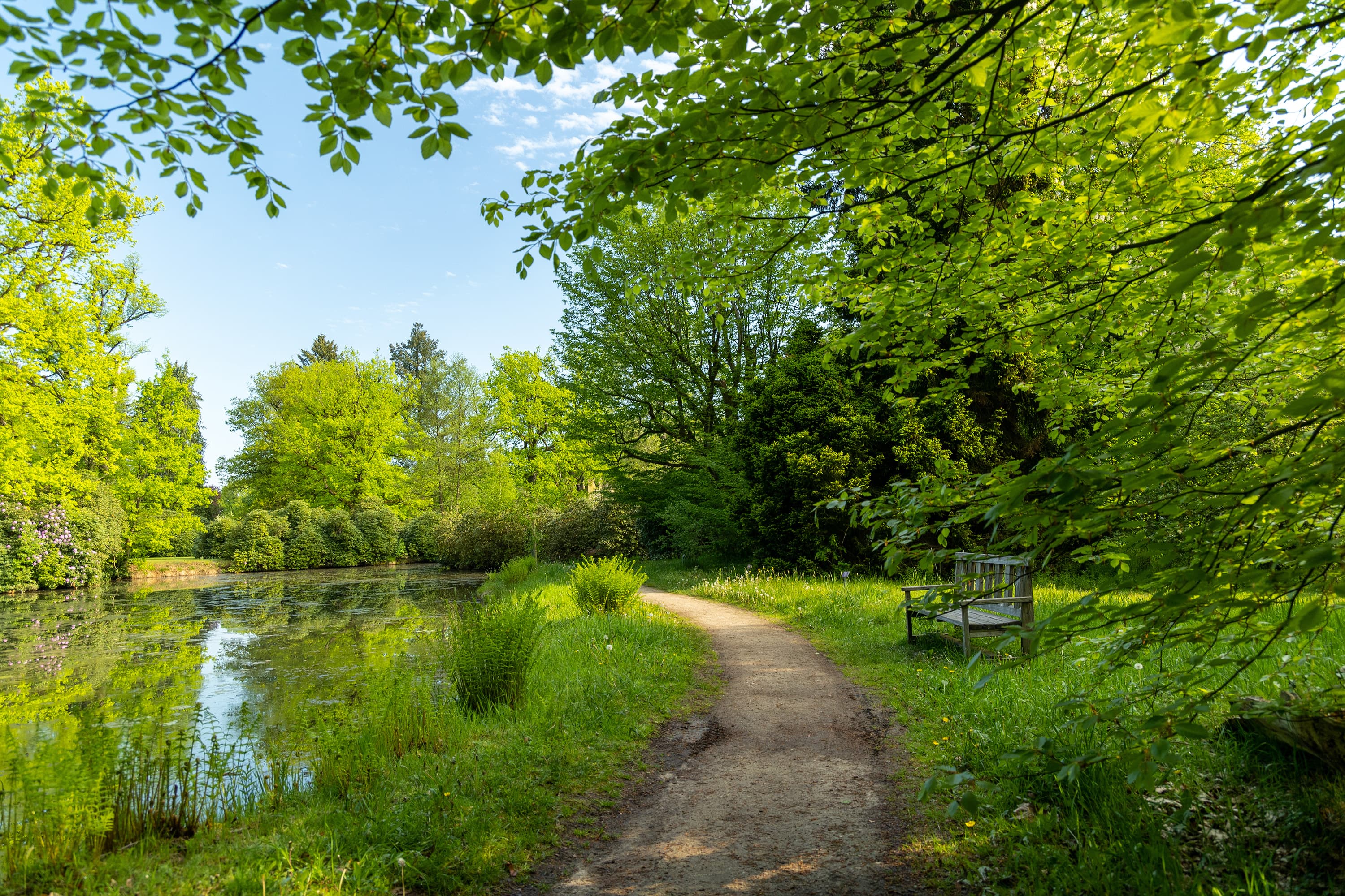 Spazierweg in Breidings Garten im Frühling