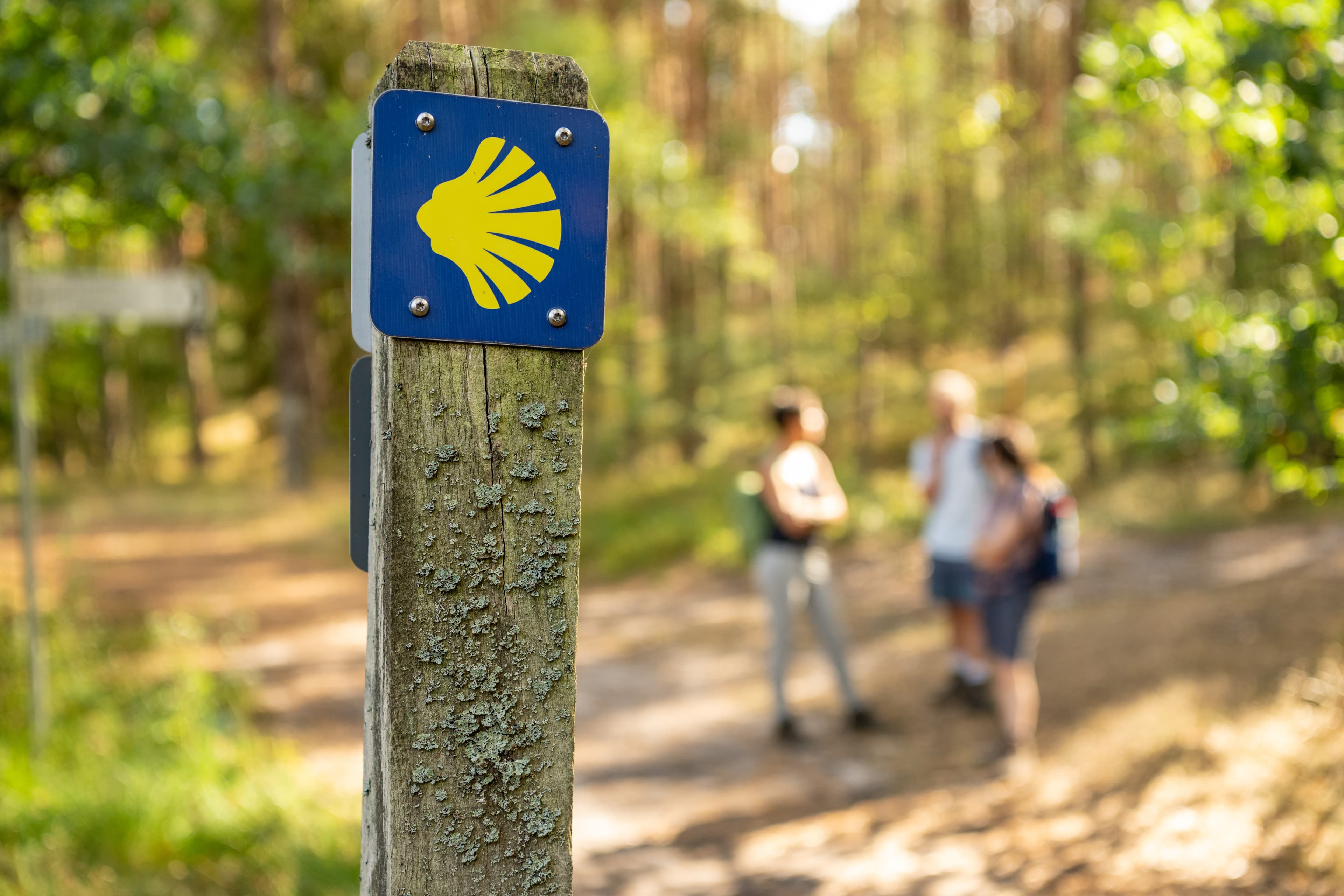 Pilgern in Hermannsburg Lüneburger Heide
