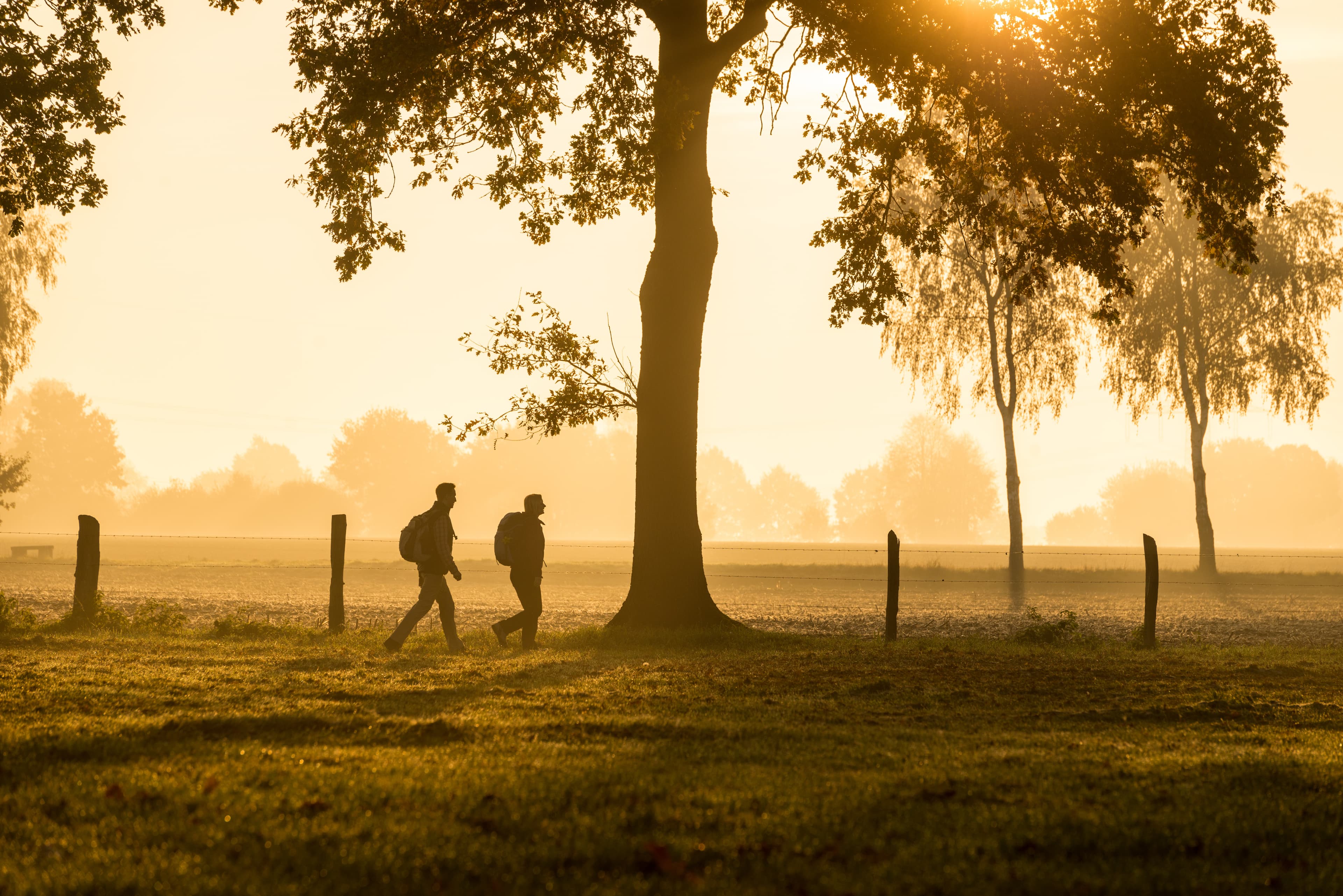 Pilgerweg Jacobusweg bei Eschede