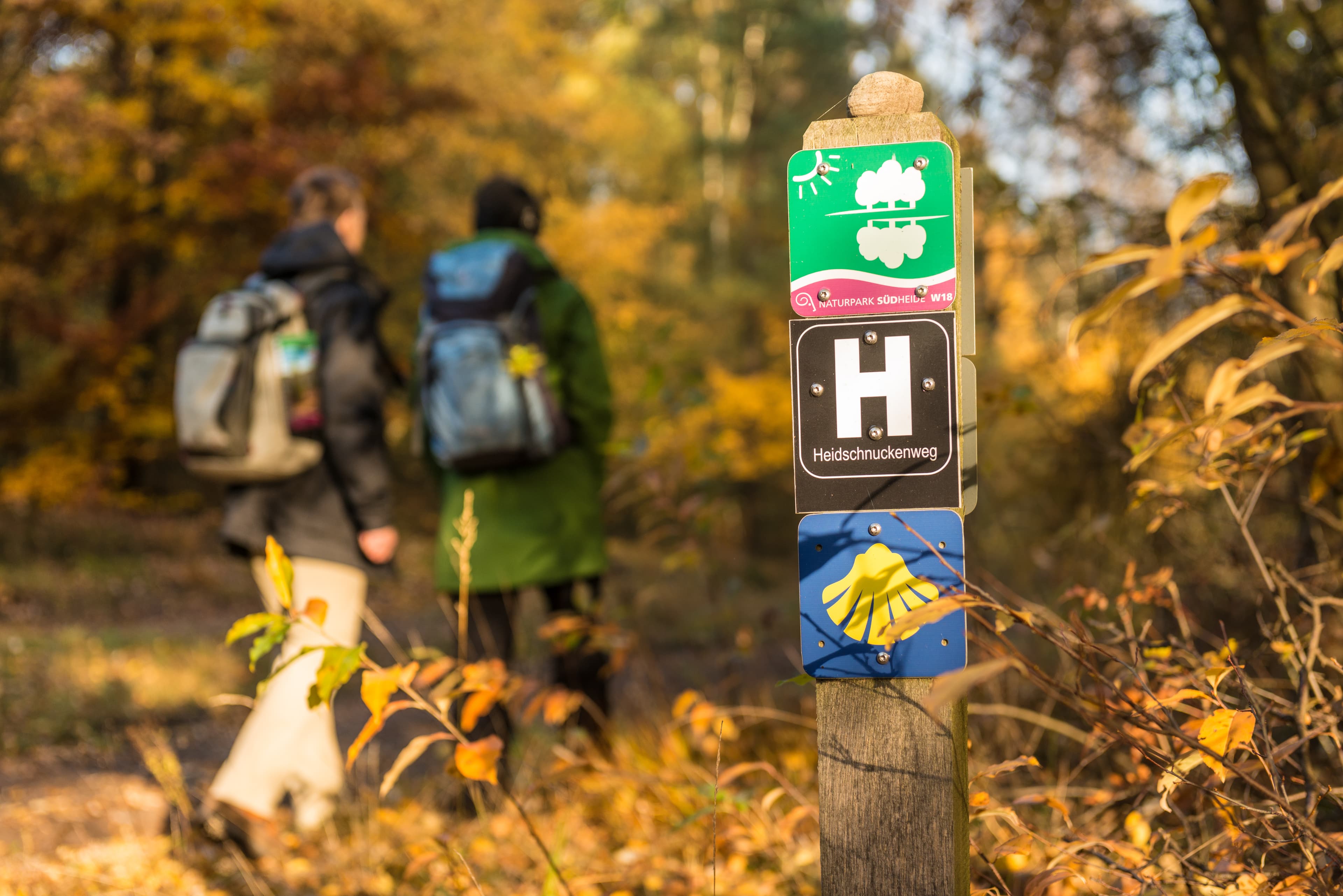 Wildecker Teiche auf dem Pilgerweg Jacobusweg