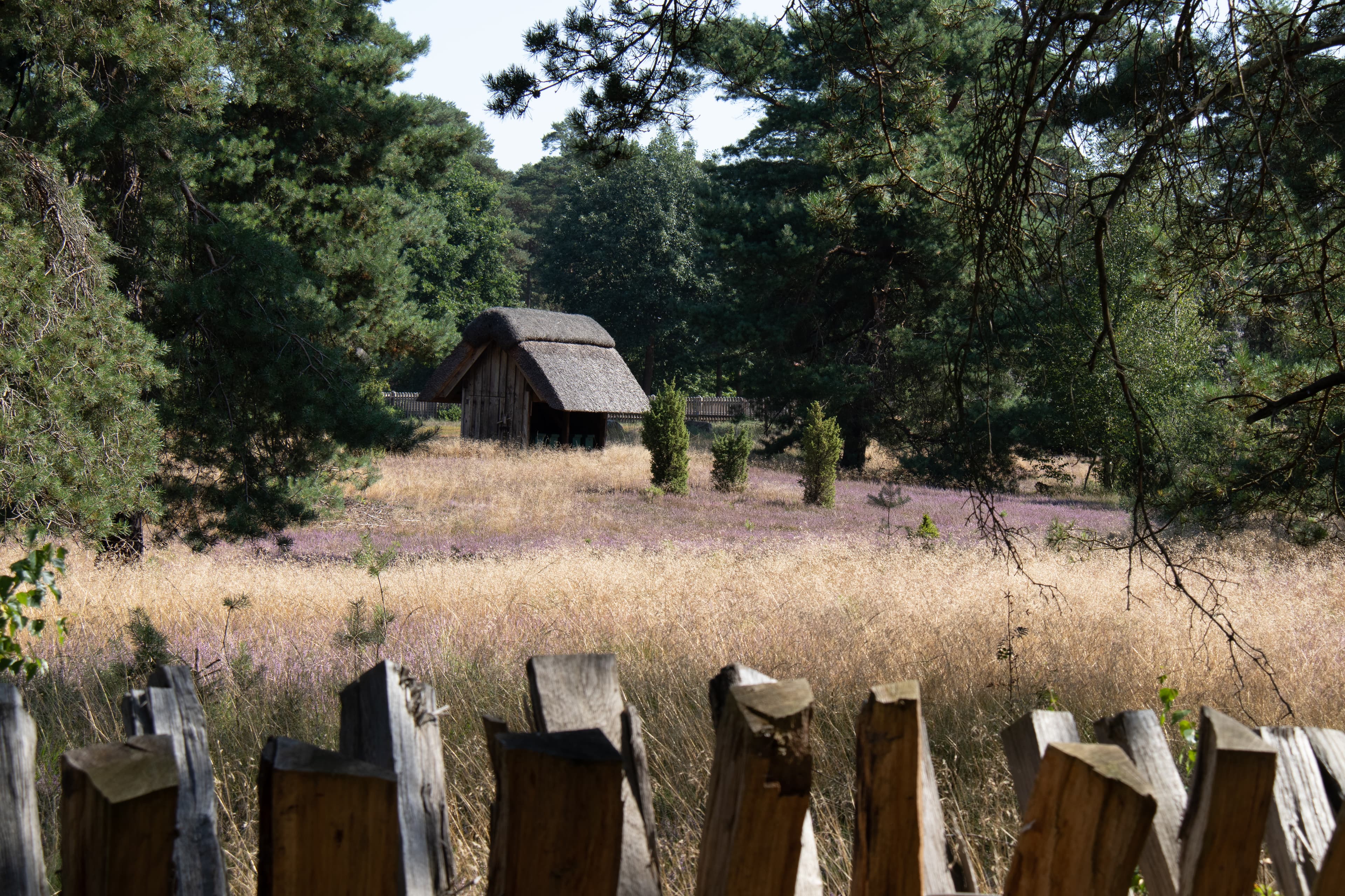 Der Schäferhof Neuenkirchen ist eine Station des Leine Heide Radwegs