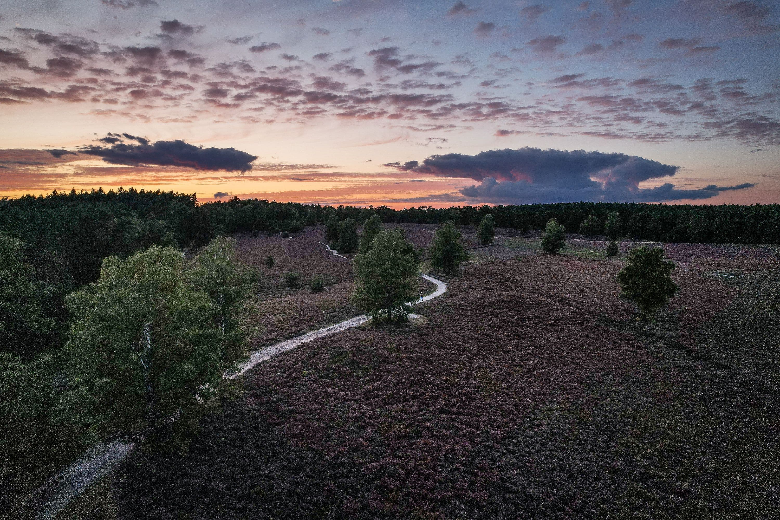 Sonnenuntergang über der frostigen Heidefläche