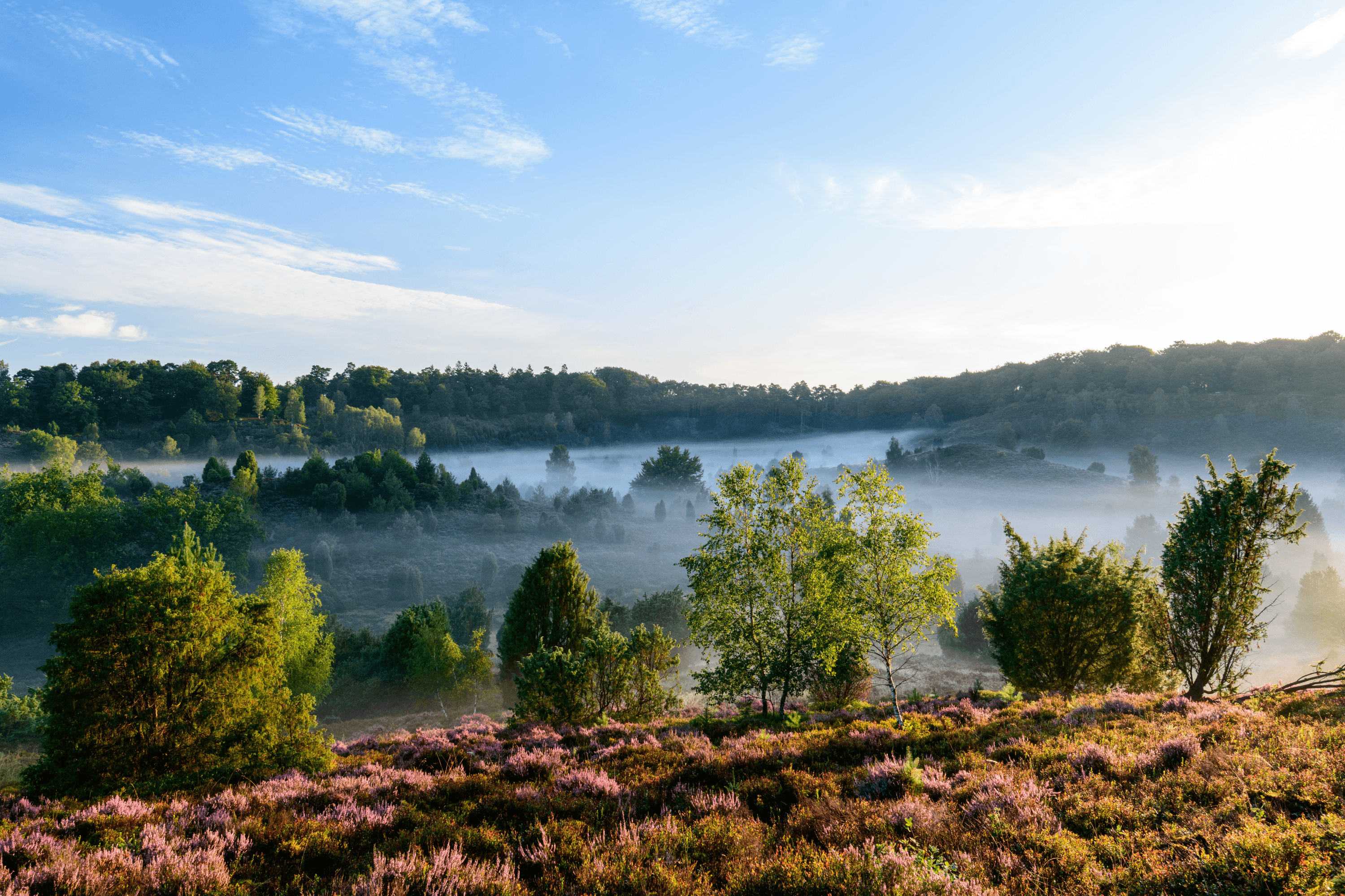 Ausblick_vom_Weg_Richtung_Behringen_Morgensonne_mit_Nebel