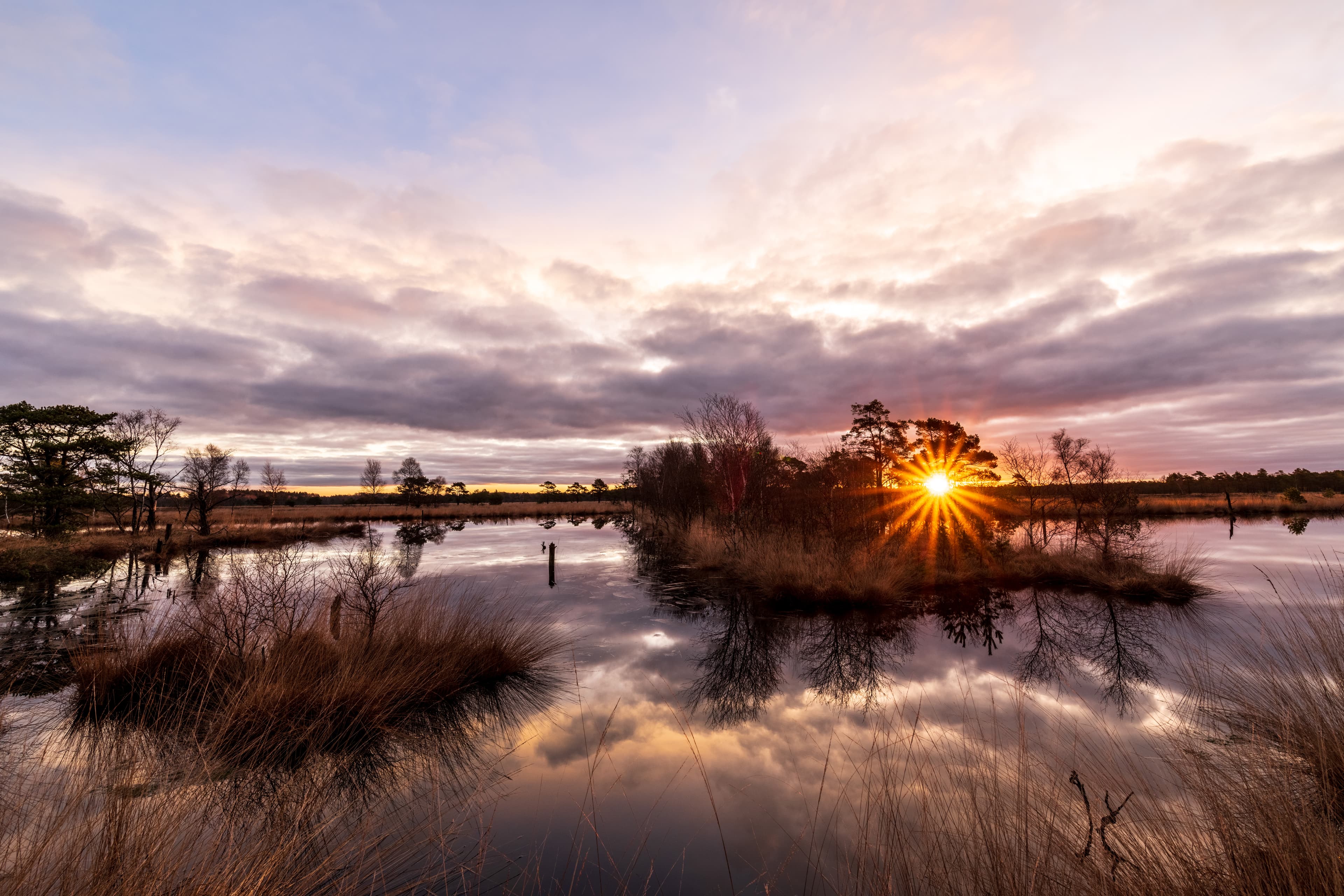 Sonnenaufgang auf dem Wanderweg Heideschleife Pietzmoor