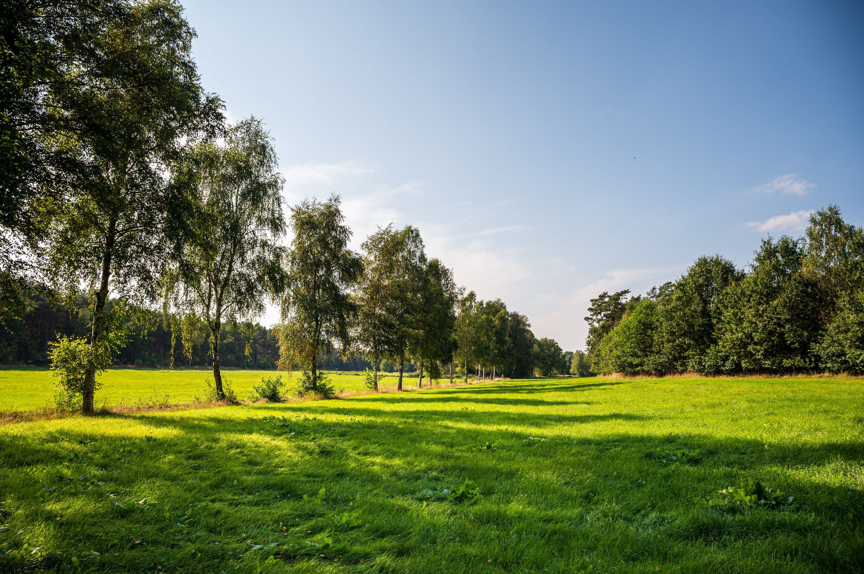 Wandern durch weite Feld- und Wiesenlandschaften in der Südheide