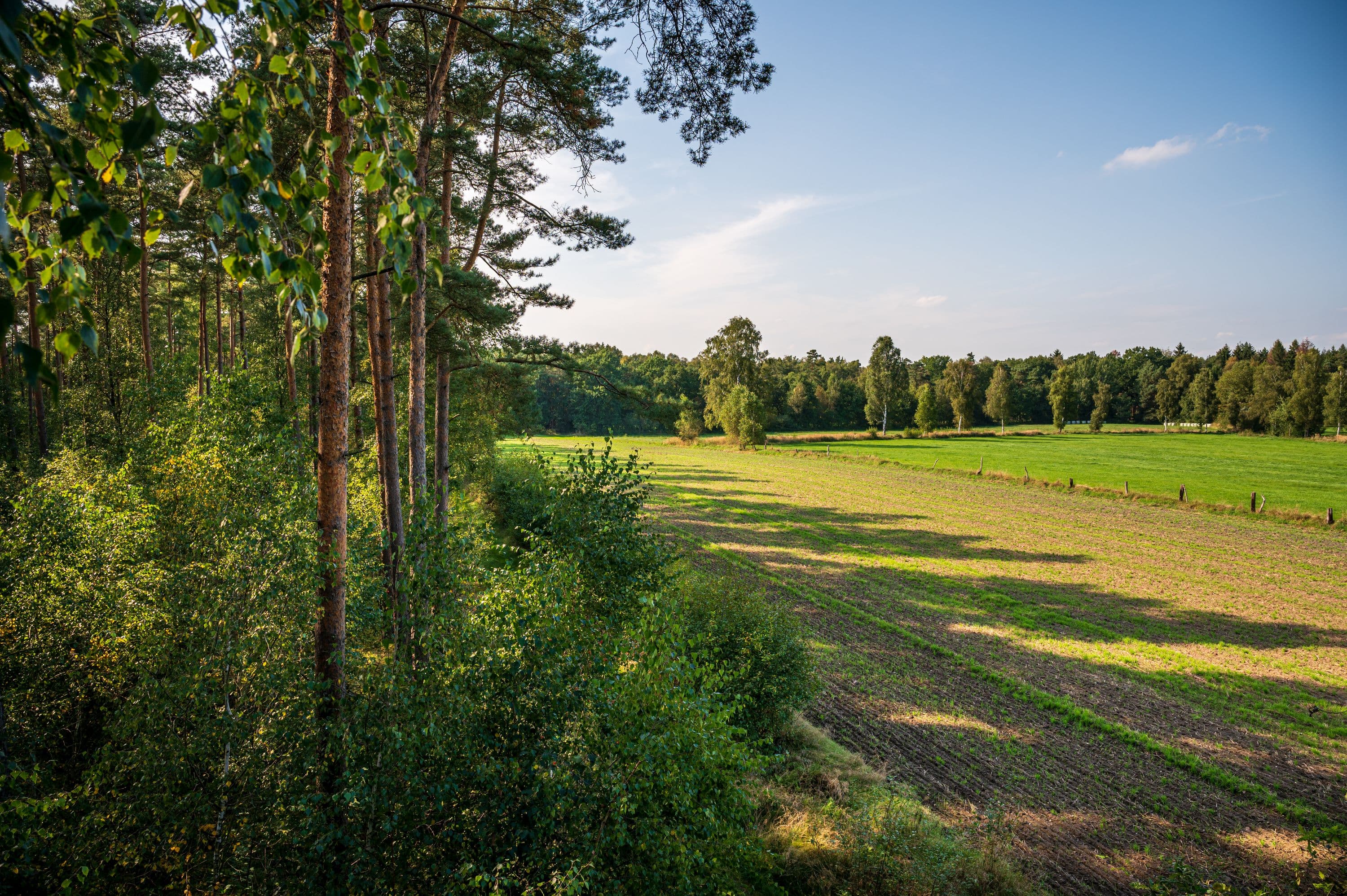 Der Wanderweg führt durch weite Flur und Waldgebiete