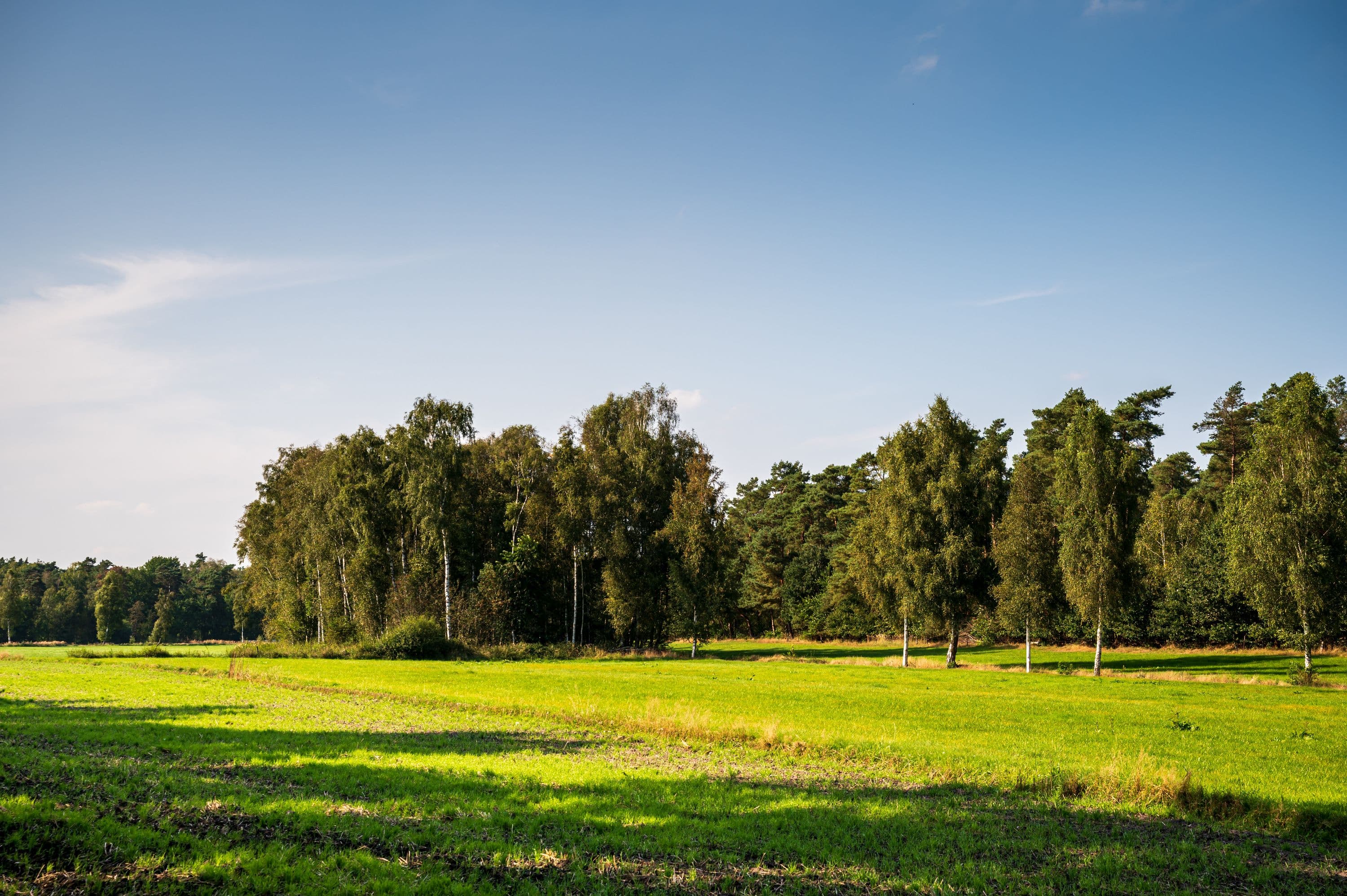 Grüne Feld- und Wiesenlandschaften am Wanderweg