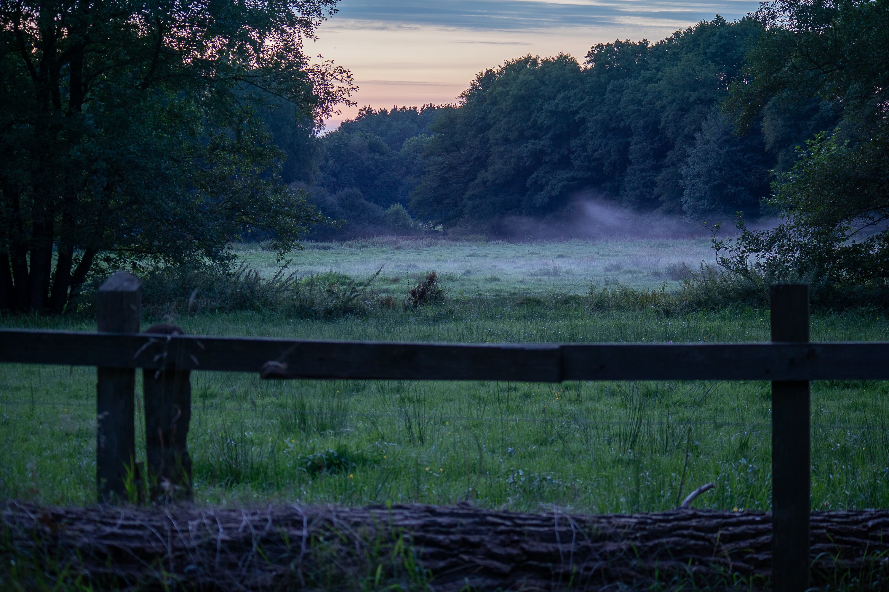 Wandern im leichten Frühnebel durch die Sudermühler Heide