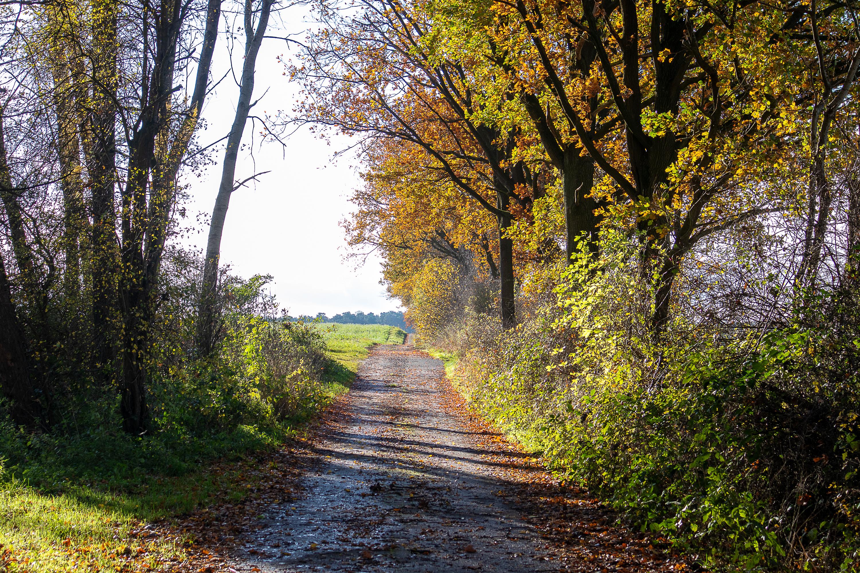 Wandern durch die Herbstlandschaft bei&nbsp; Eyendorf