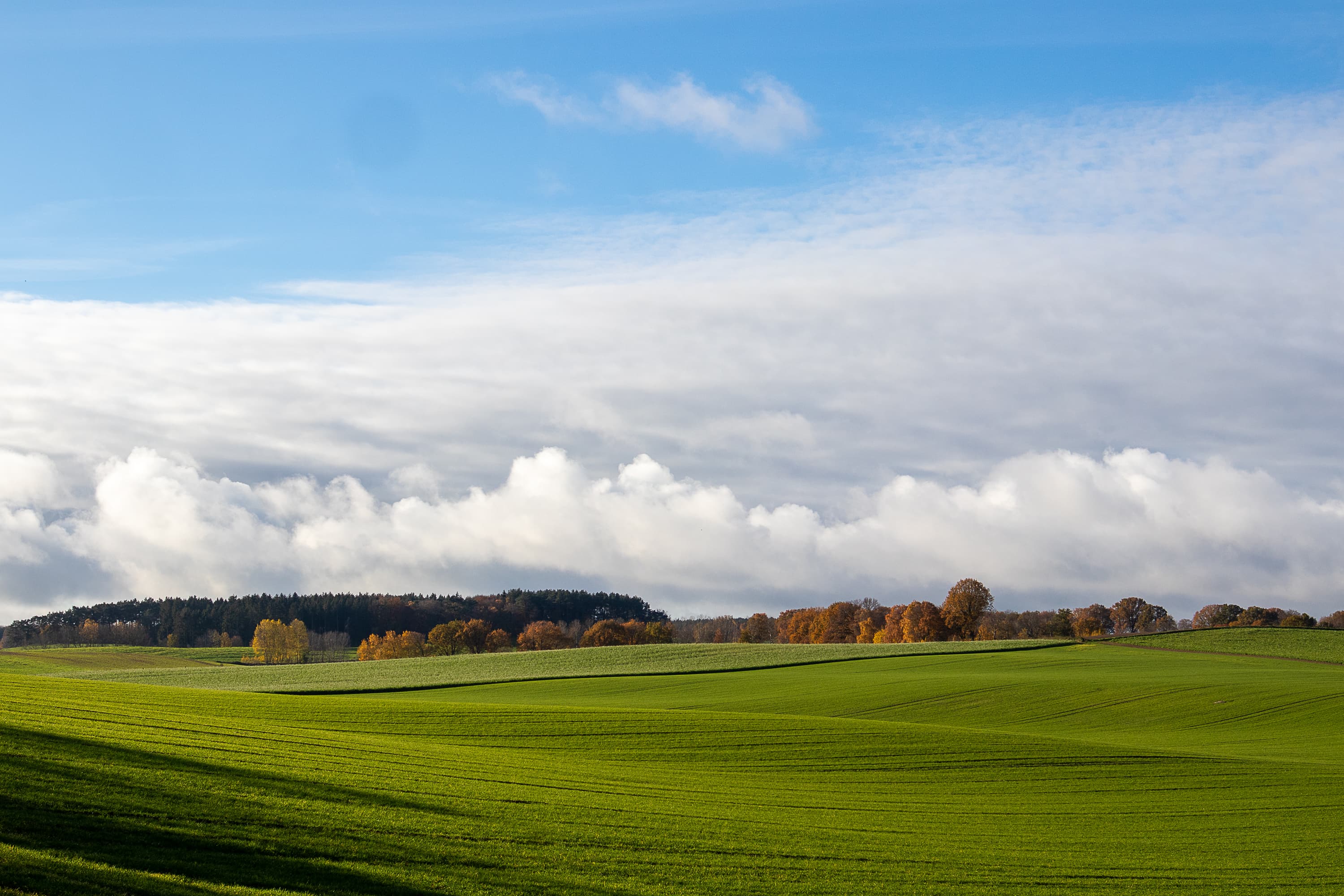 Grüne Wiesen und bunte Herbstbäume