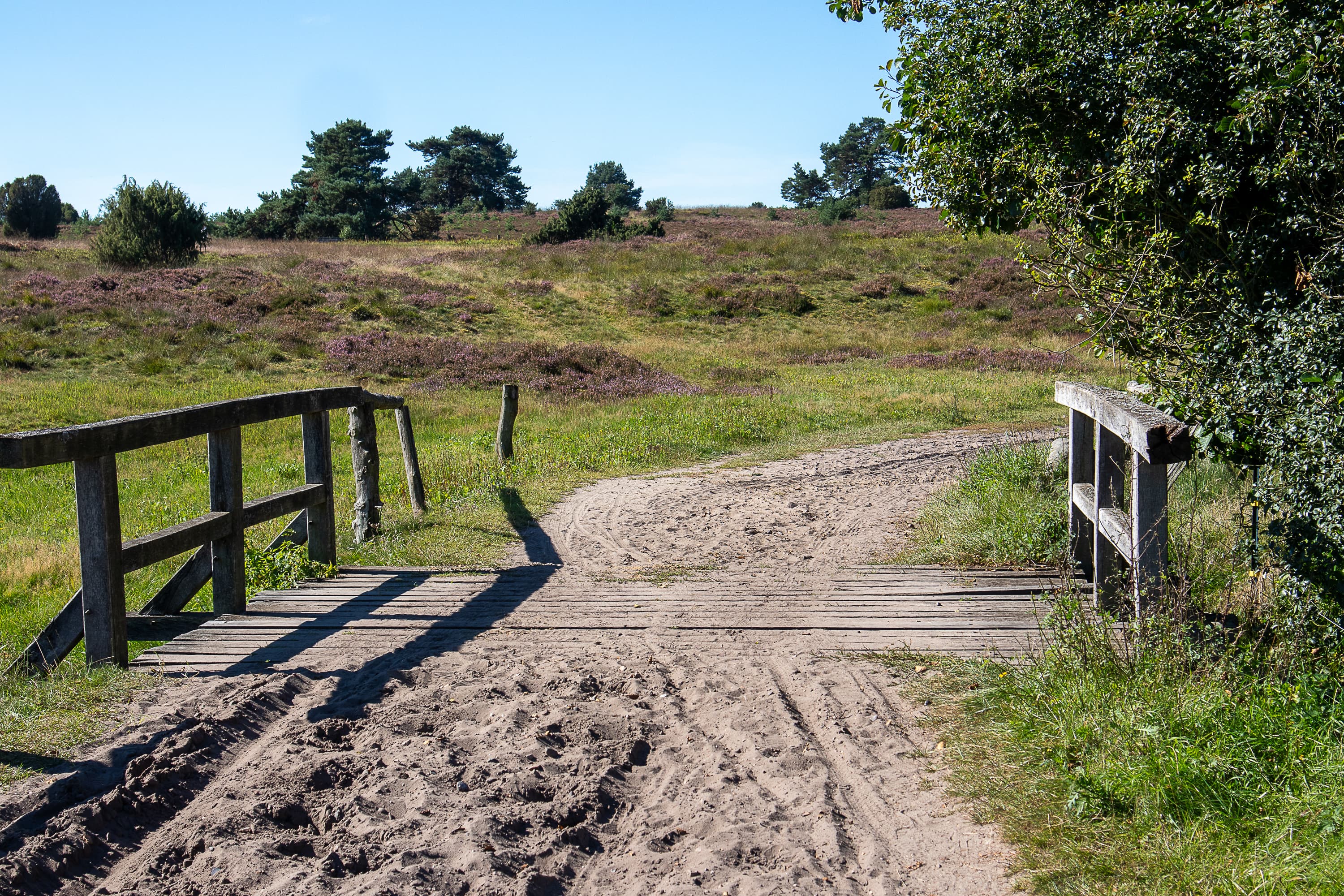 Sandiger Wanderweg durch das Radenbachtal