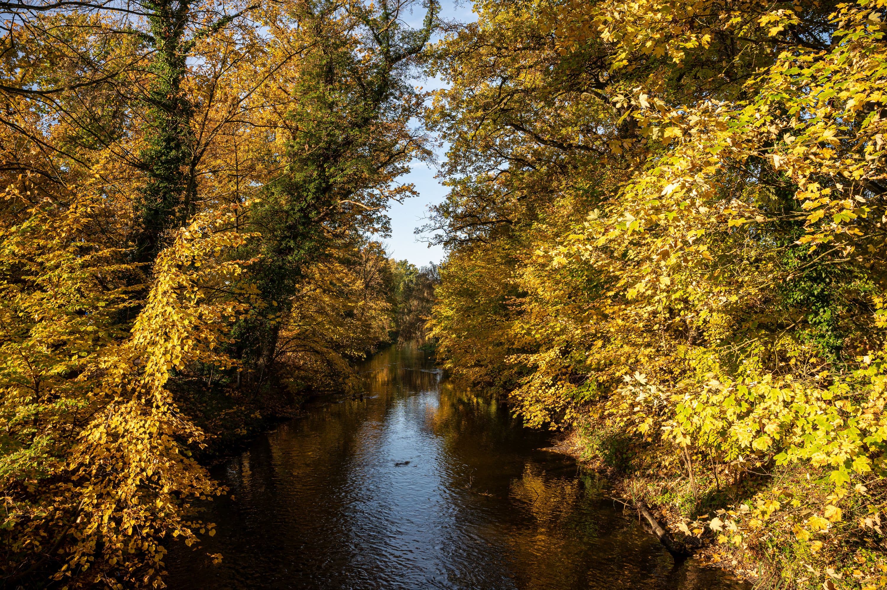 Wandern entlang des Mühlenkanals Wienhausen