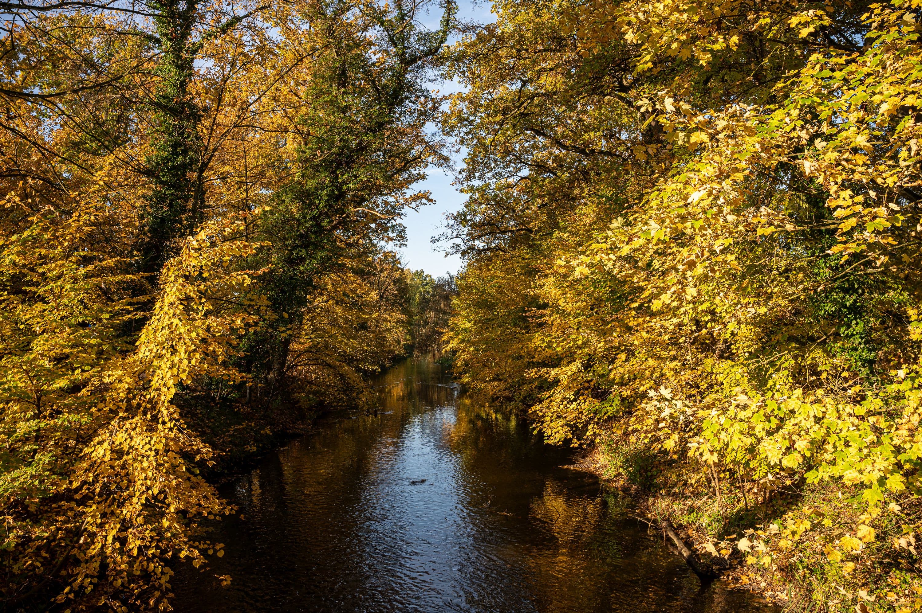 Blick auf den Mühlenkanal Wienhausen