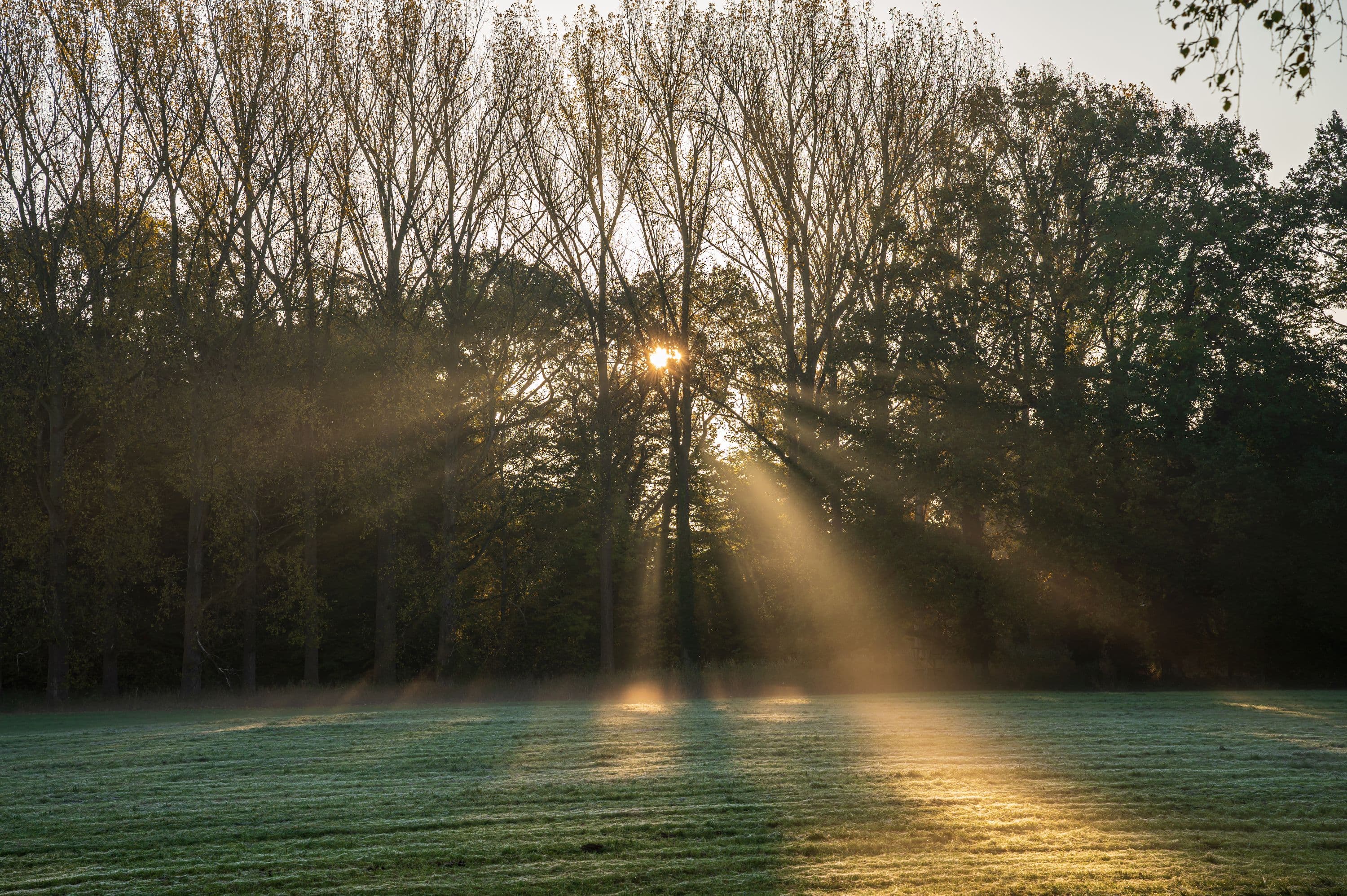 Wandern im Sonnenaufgang durch Wienhausen