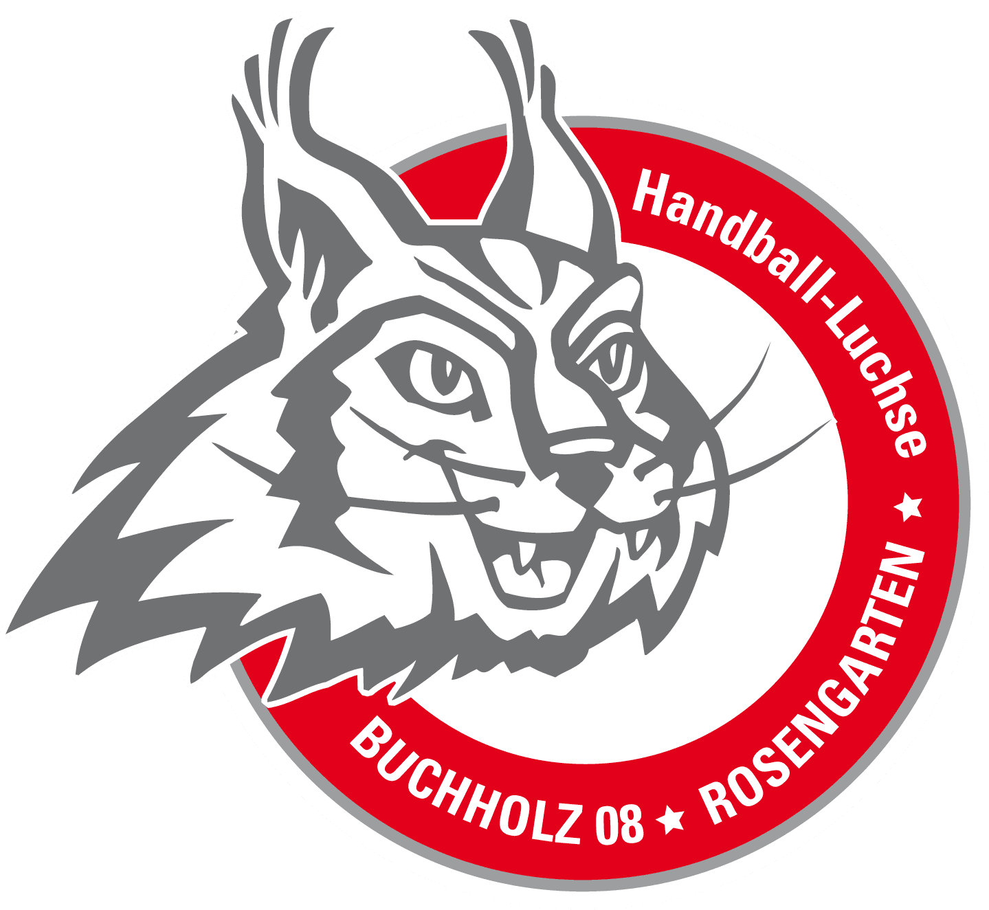 Handball-Luchse 2. Bundesliga gegen TG Nürtingen
