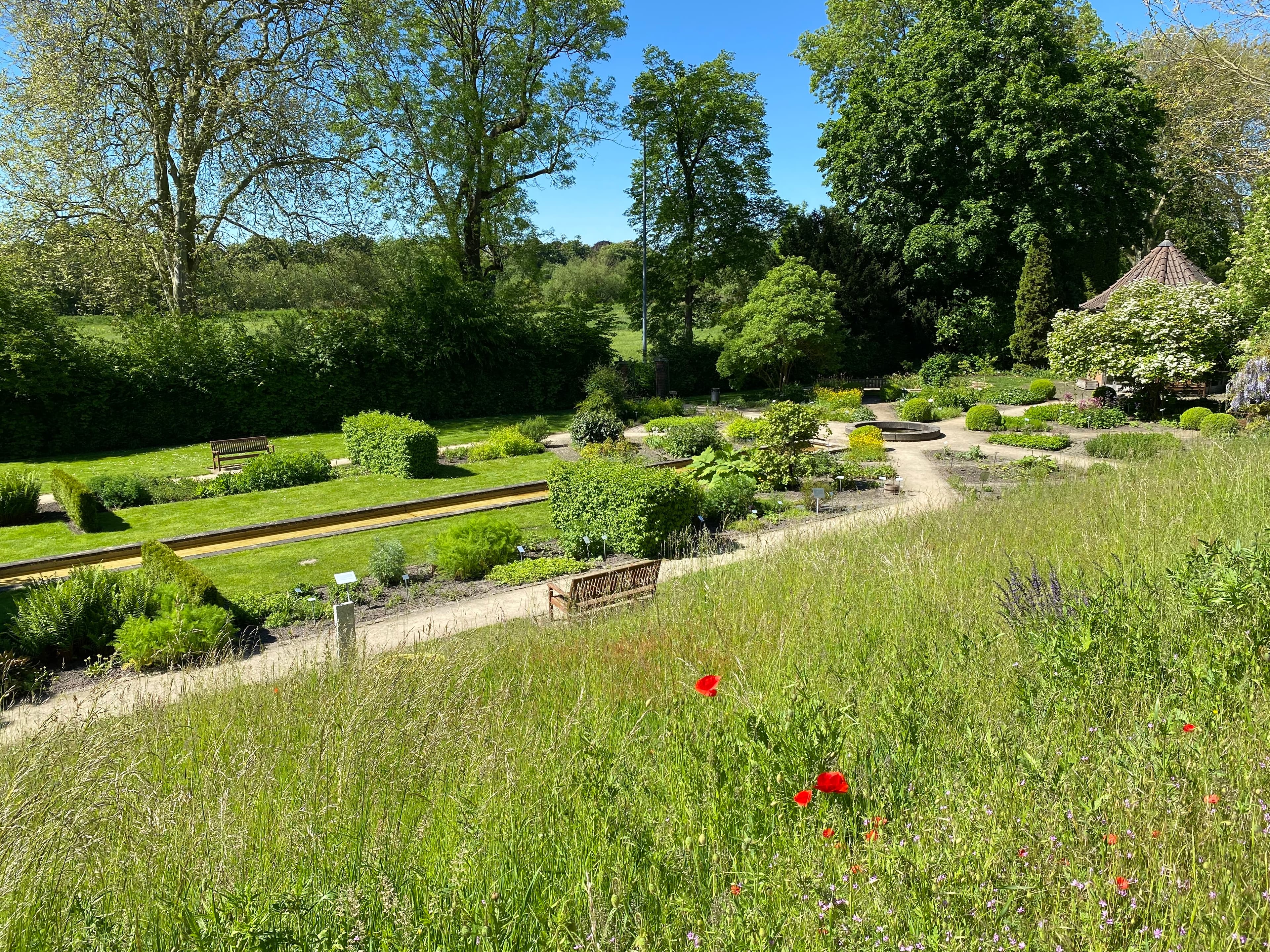 Blick von oben auf den Heilpflanzengarten Celle