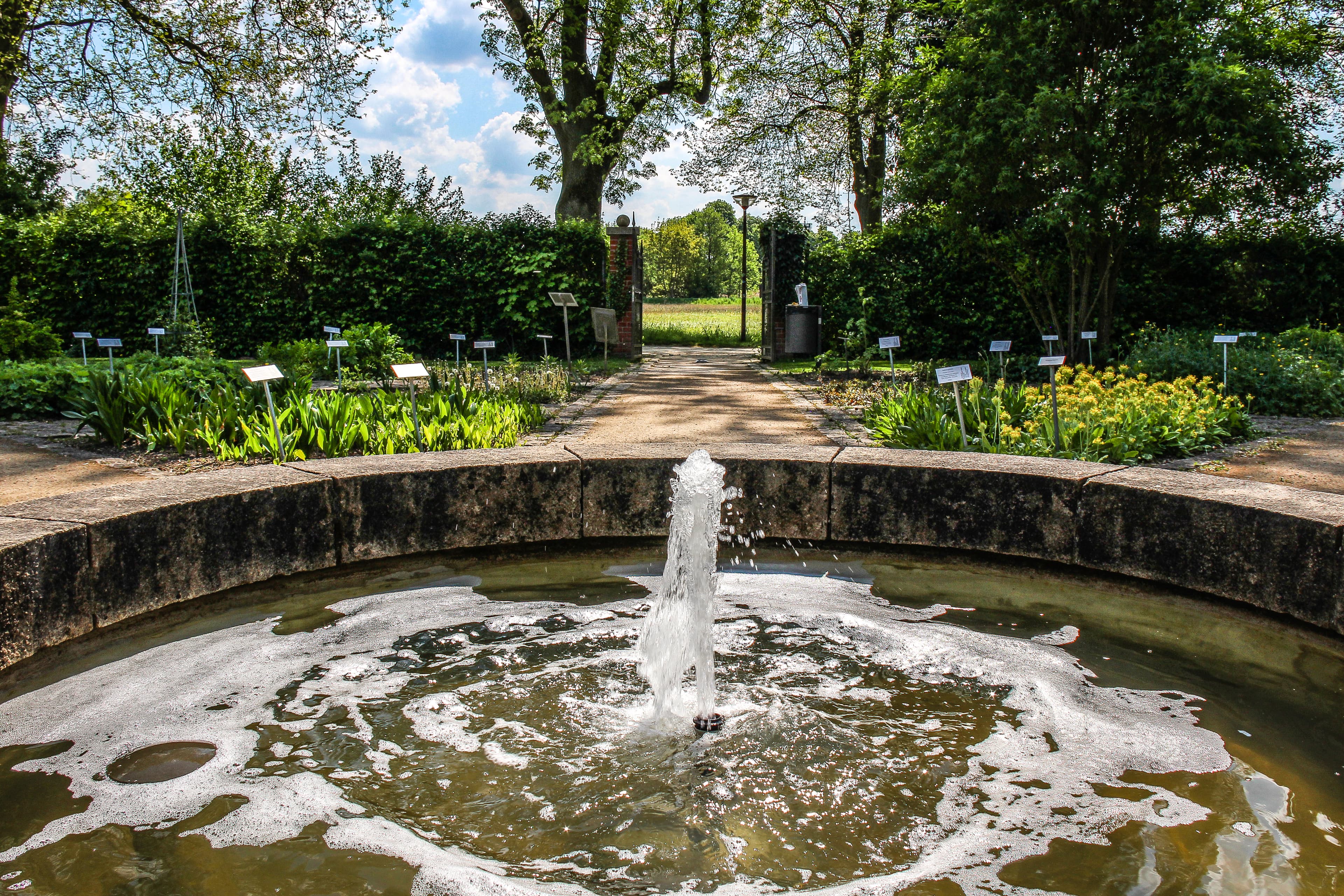 es plätschert im springbrunnen des heilpflanzengartens celle