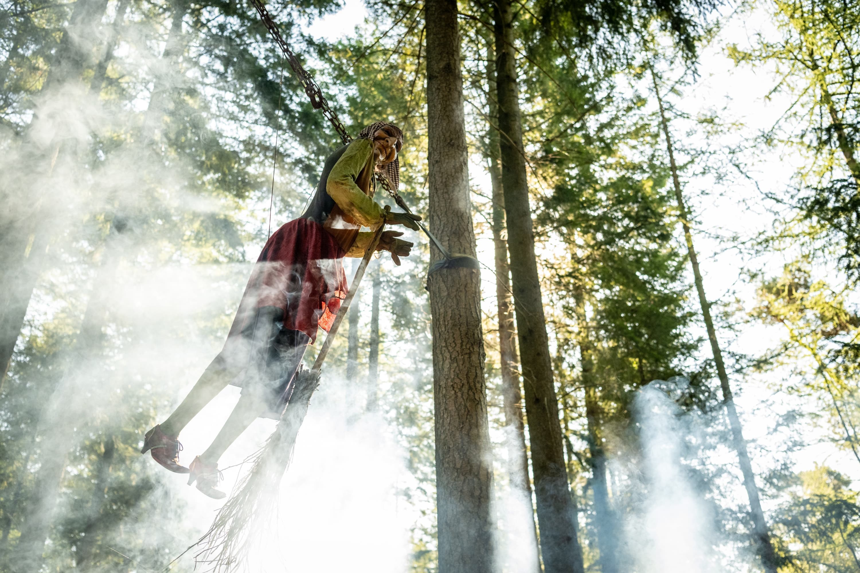 Hexe im Nebel beim Hexentanzplatz bei Hanstedt