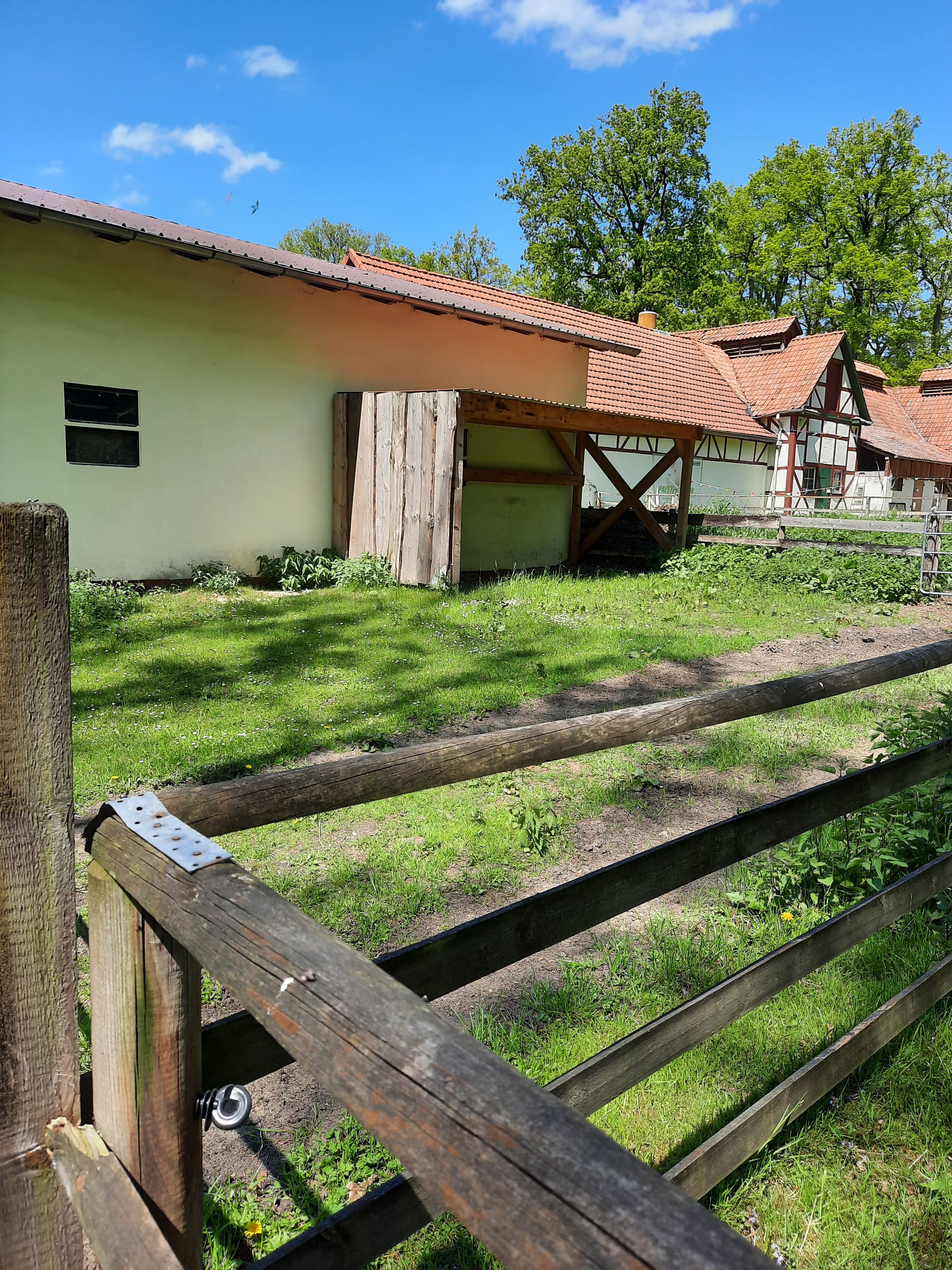 Gastpferde Paddock auf dem Ferienhof Meyer