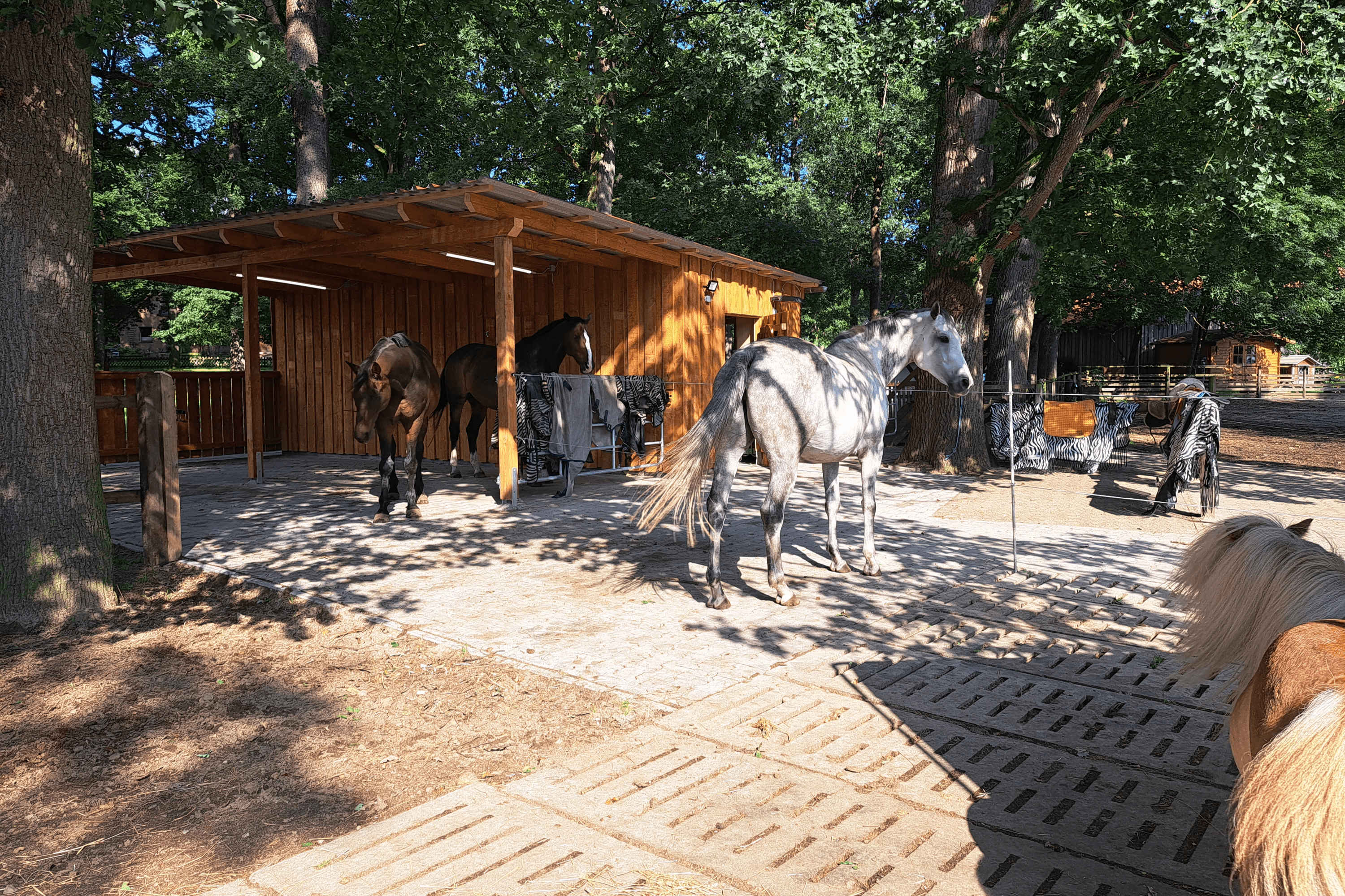Sattelkammer auf dem Ferienhof Meyer
