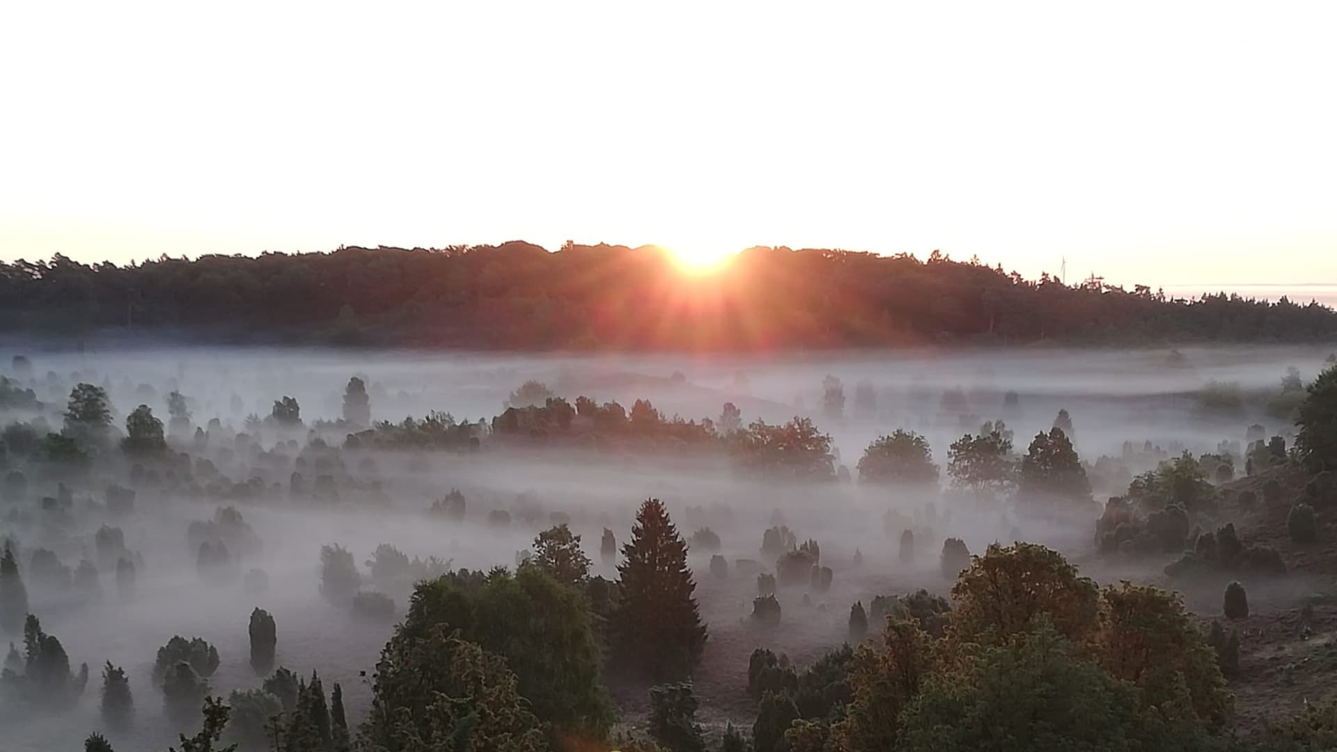 Sonnenaufgang über dem nebelverhangenen Totengrund bei Bispingen mit Blick auf Heide und Wälder.