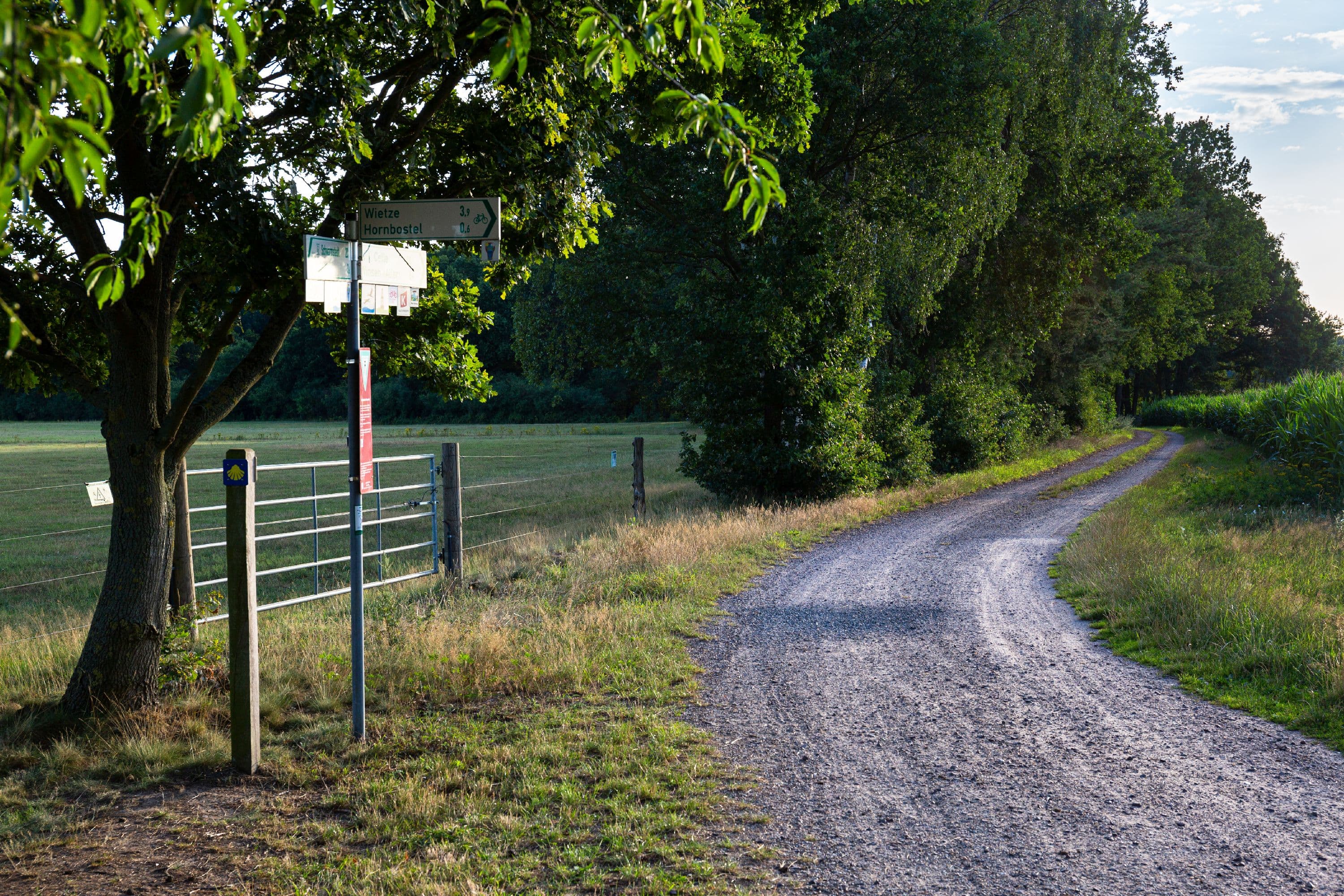 Radweg an der Hornbosteler Hutweide