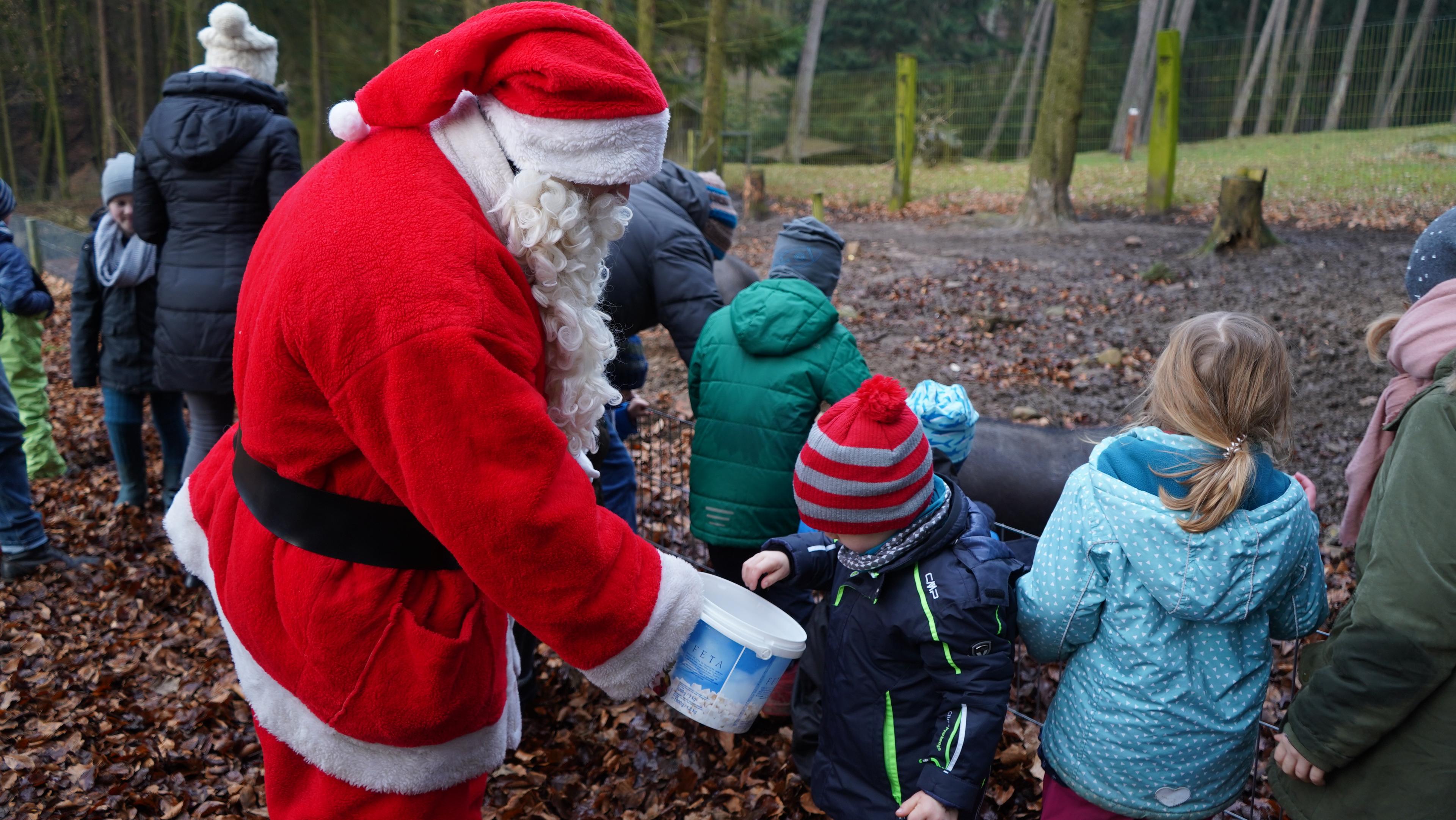 Der Weihnachtsmann und seine Helfer beim Füttern der Tiere im Wildpark Schwarze Berge