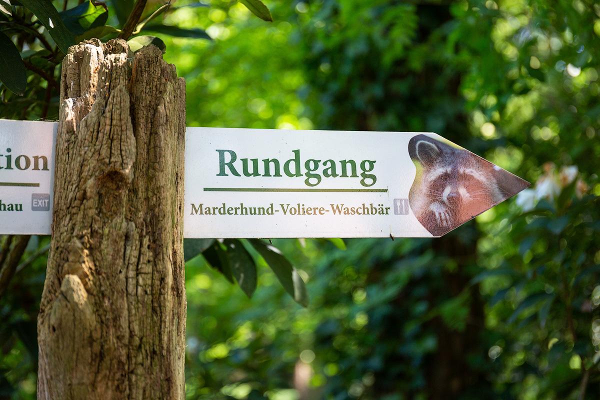 Wildpark Müden – Geführter Rundgang