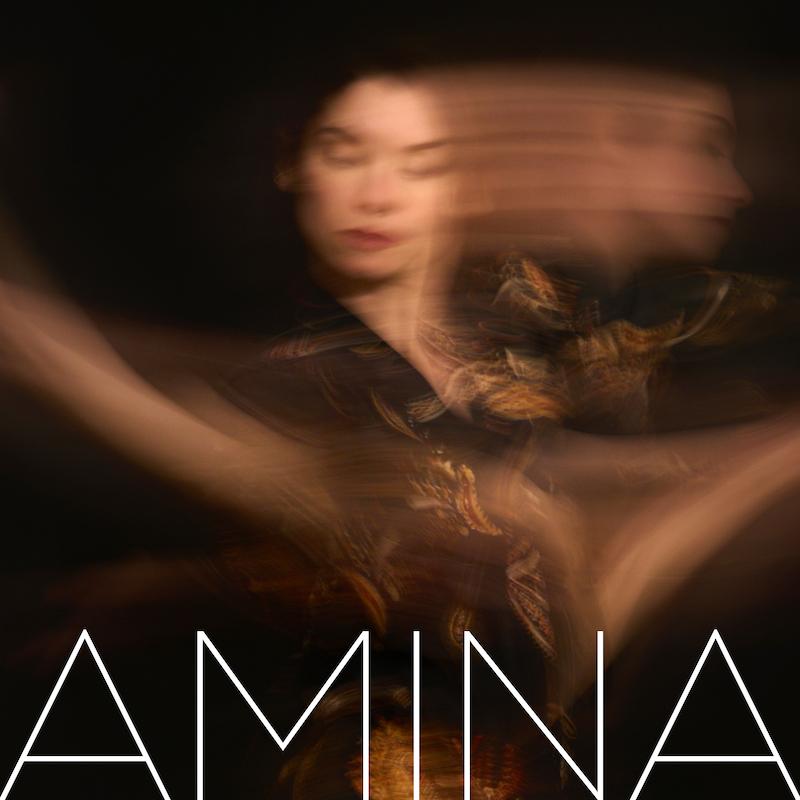 Amina - Komposition aus professionellem Ballett und Gesang von Lara Lioi